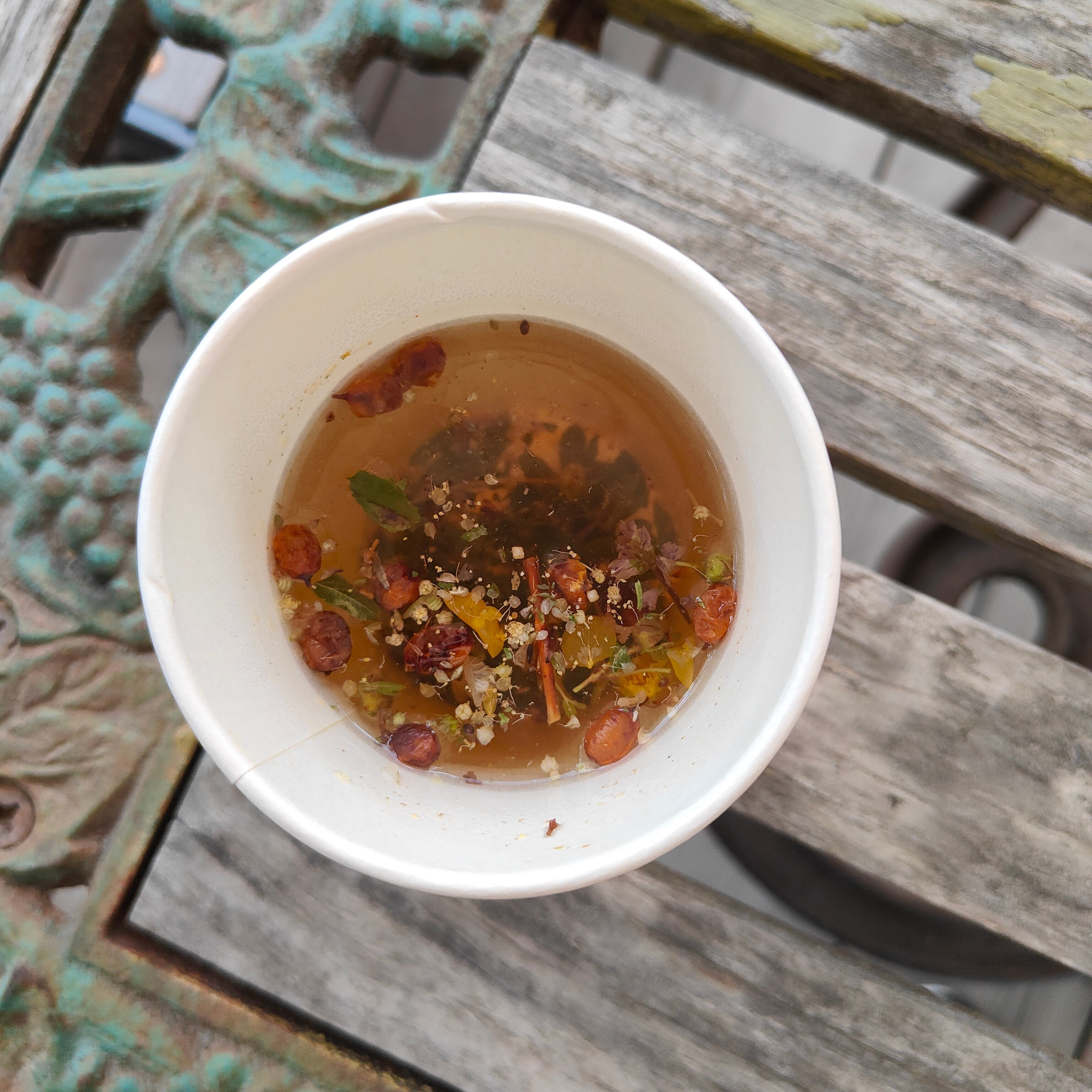 По Чемальскому тракту от Кедрового острова до реки Куюм. Фотограф-документалист Мария Осокина