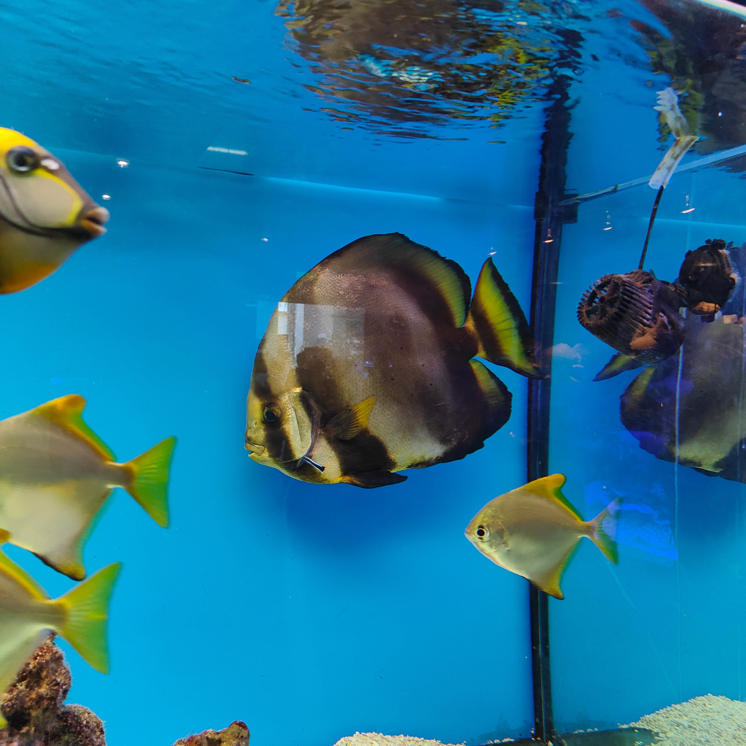 Культурная программа в дождливый день. Фотограф-документалист Мария Осокина