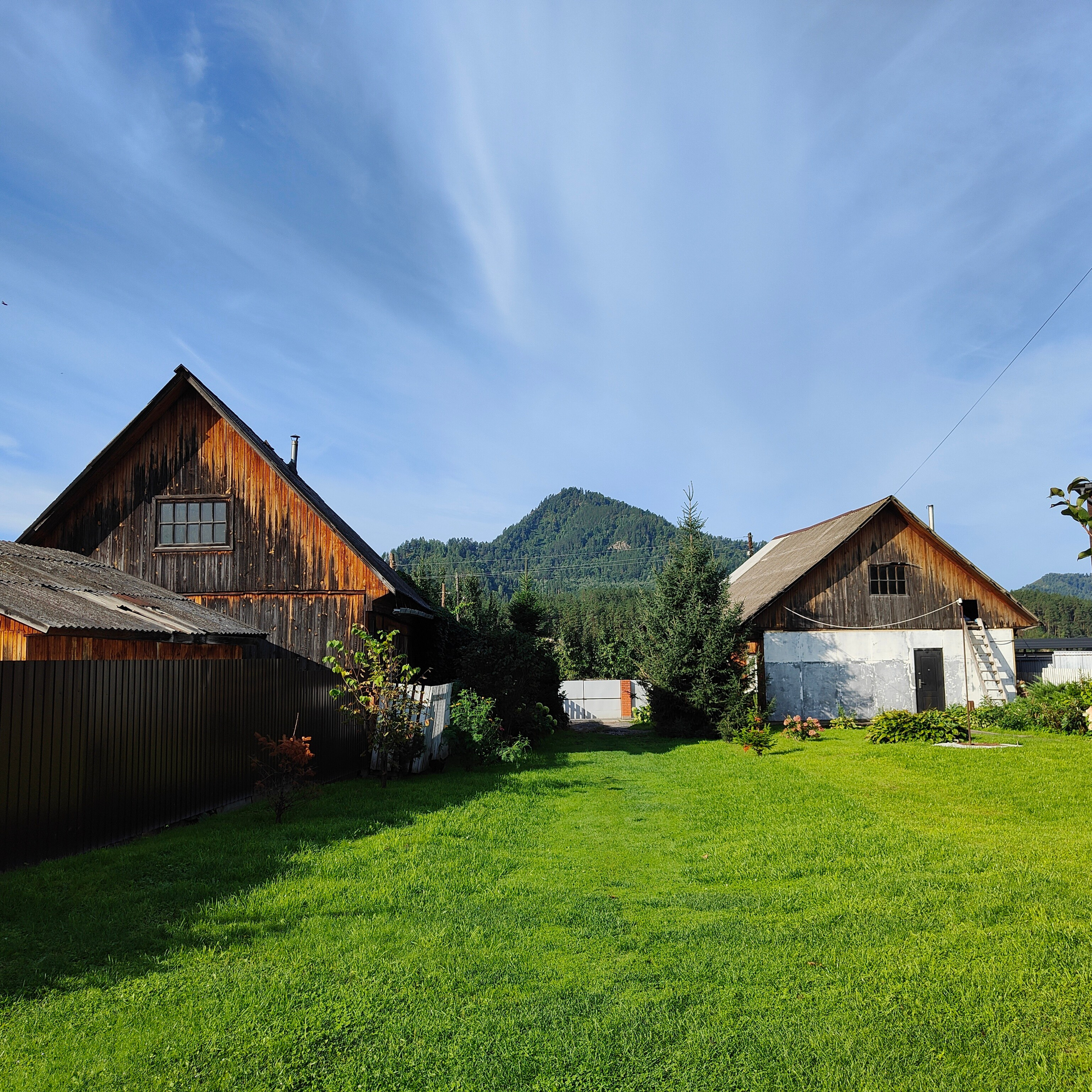 По Чемальскому тракту от Кедрового острова до реки Куюм. Фотограф-документалист Мария Осокина