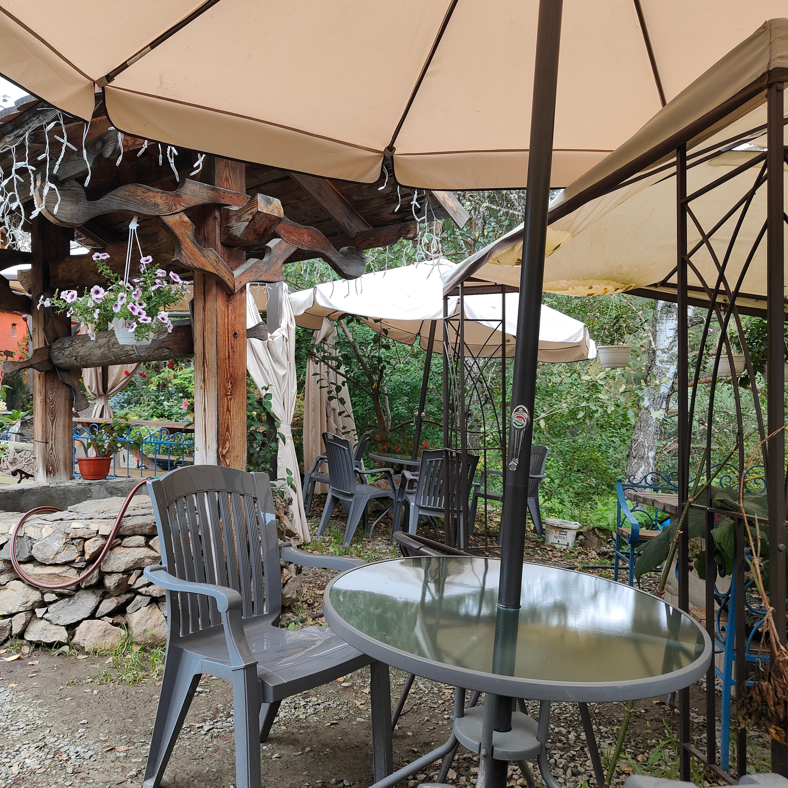 Зубы Дракона и солнечный подарок. Сад пионов. Фотограф-документалист Мария Осокина