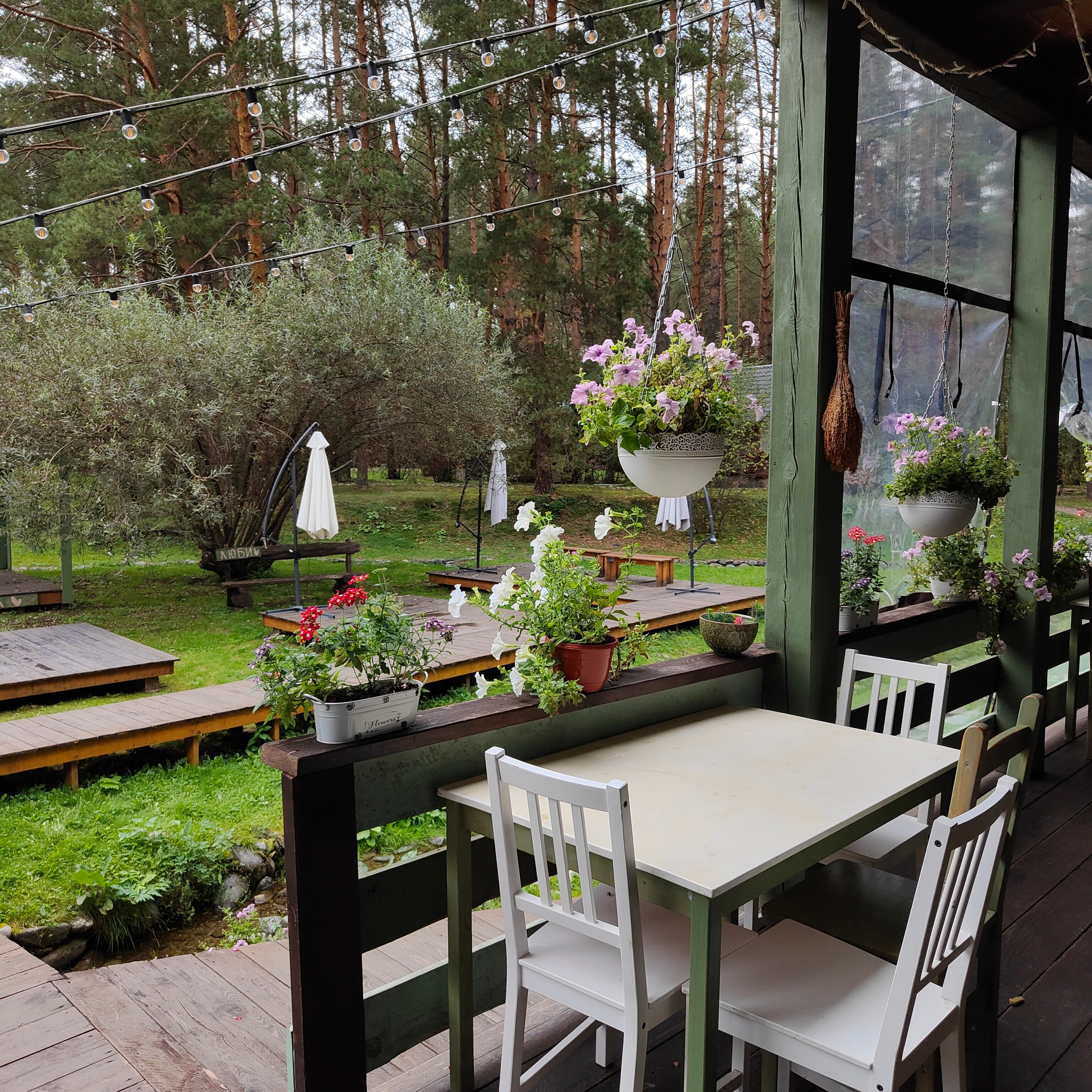 Верхи Алтая и деревня Берендеевка. Фотограф-документалист Мария Осокина