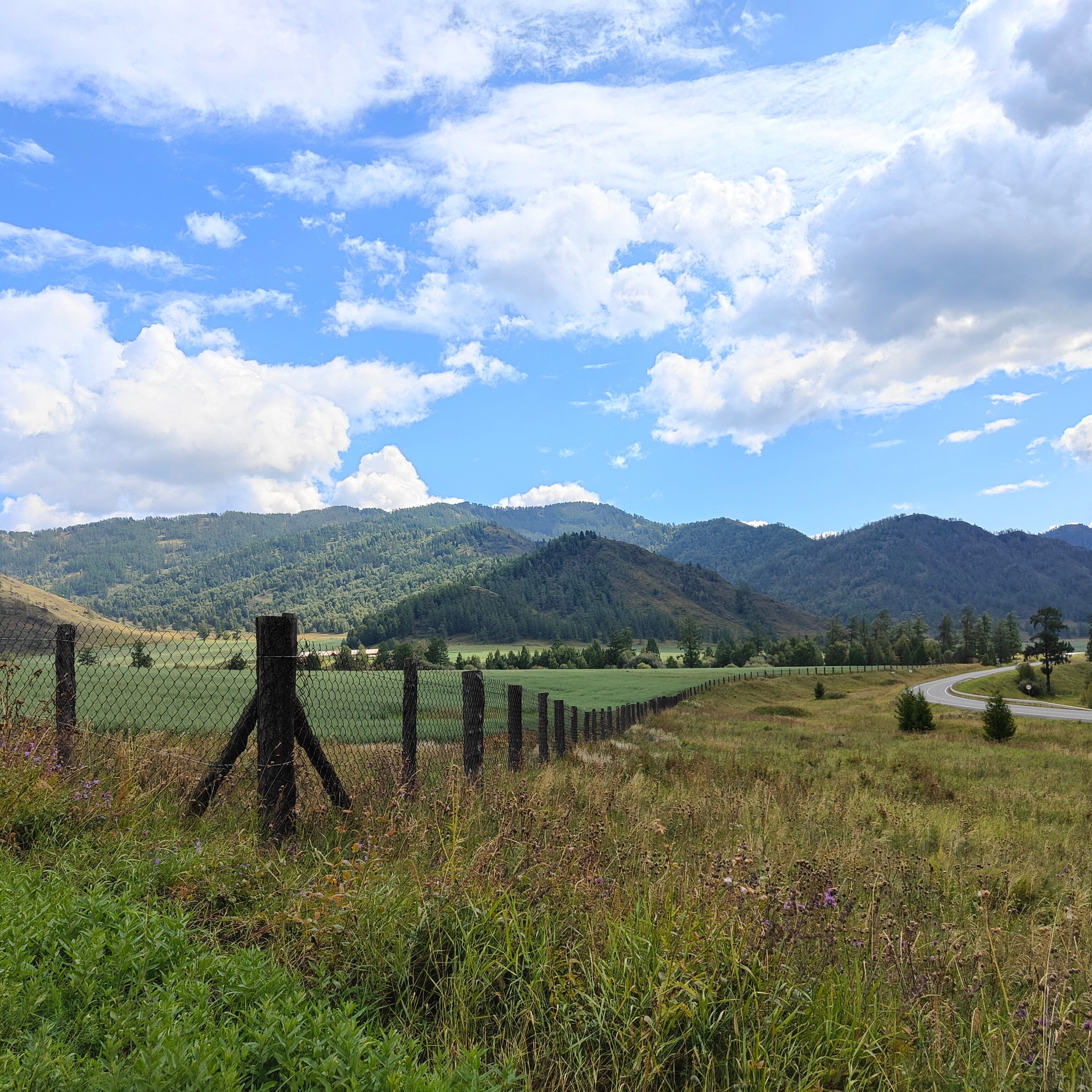 Дорога на Семинский перевал. Фотограф-документалист Мария Осокина