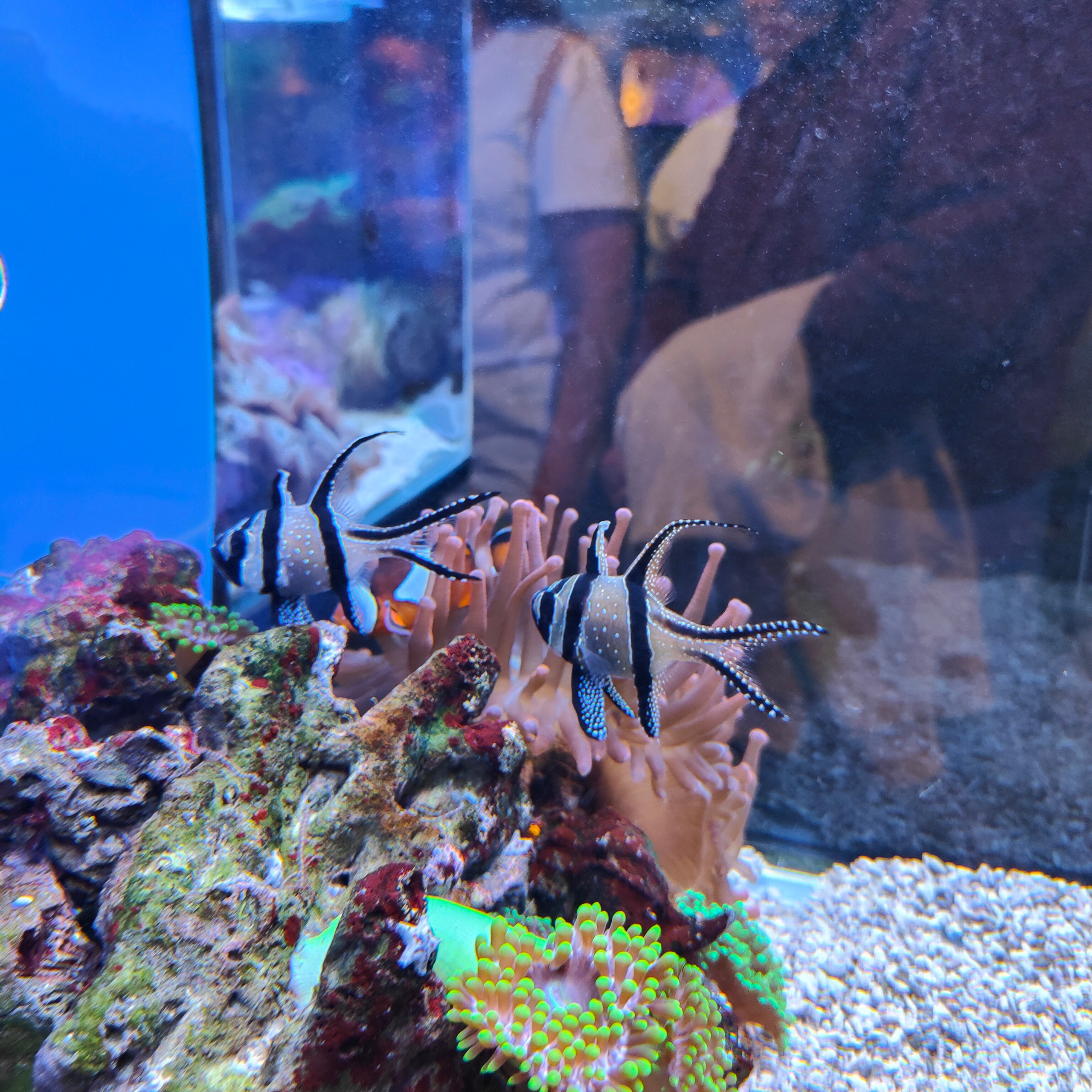 Культурная программа в дождливый день. Фотограф-документалист Мария Осокина