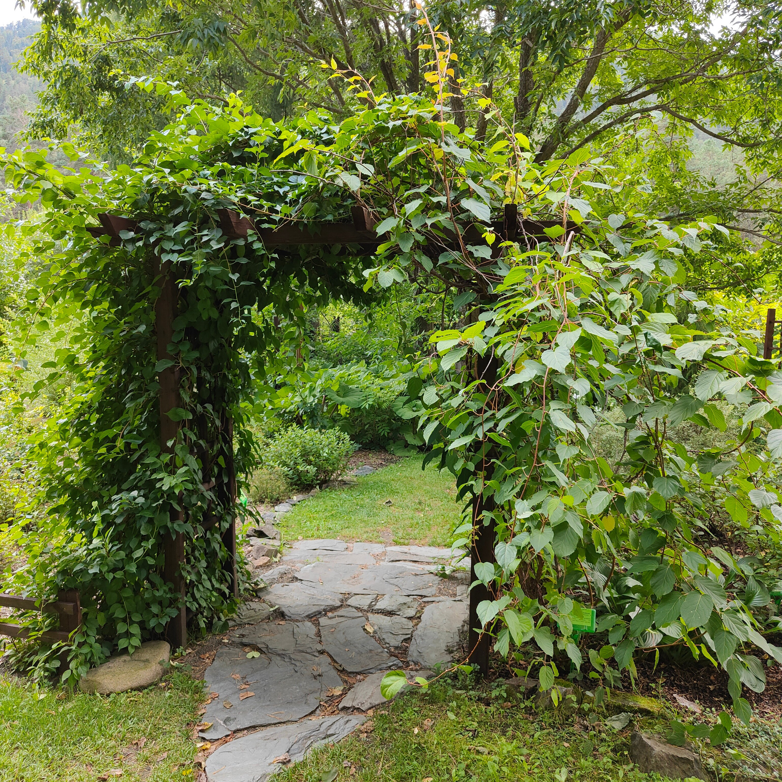 Ботанический сад и Шаманская поляна. Фотограф-документалист Мария Осокина