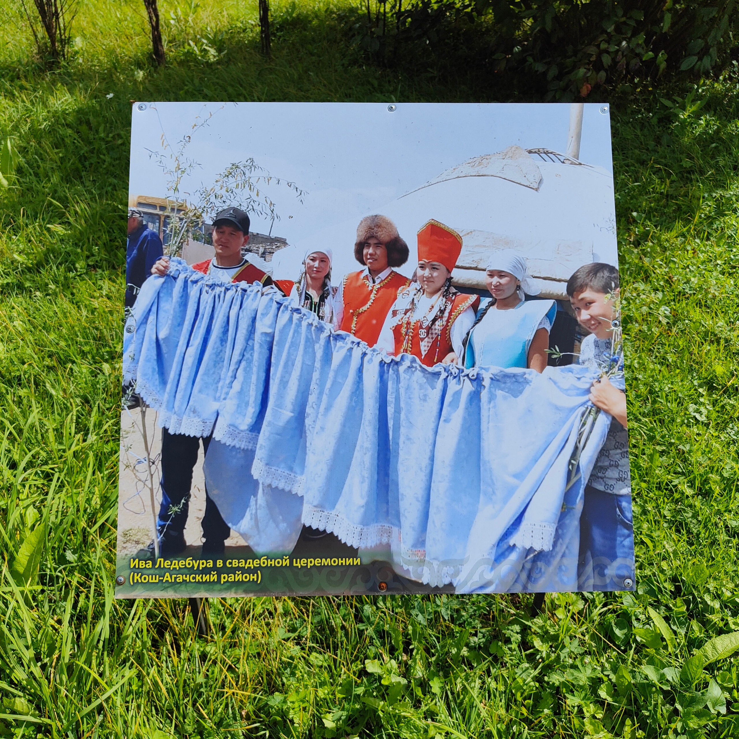 Ботанический сад и Шаманская поляна. Фотограф-документалист Мария Осокина