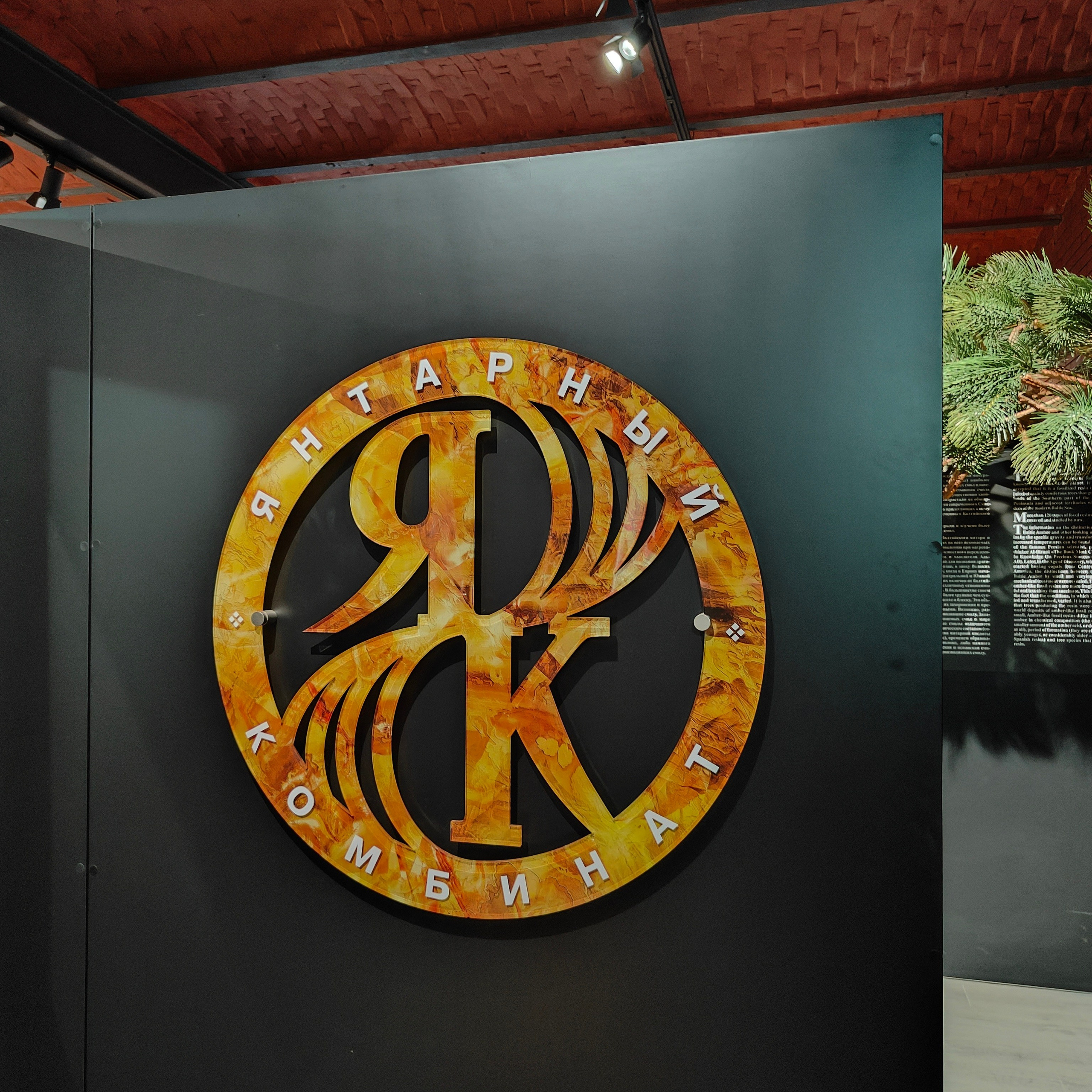 День в Янтарном: выставка янтаря, кофейня Новое место и пляж Анна. Фотограф-документалист Мария Осокина