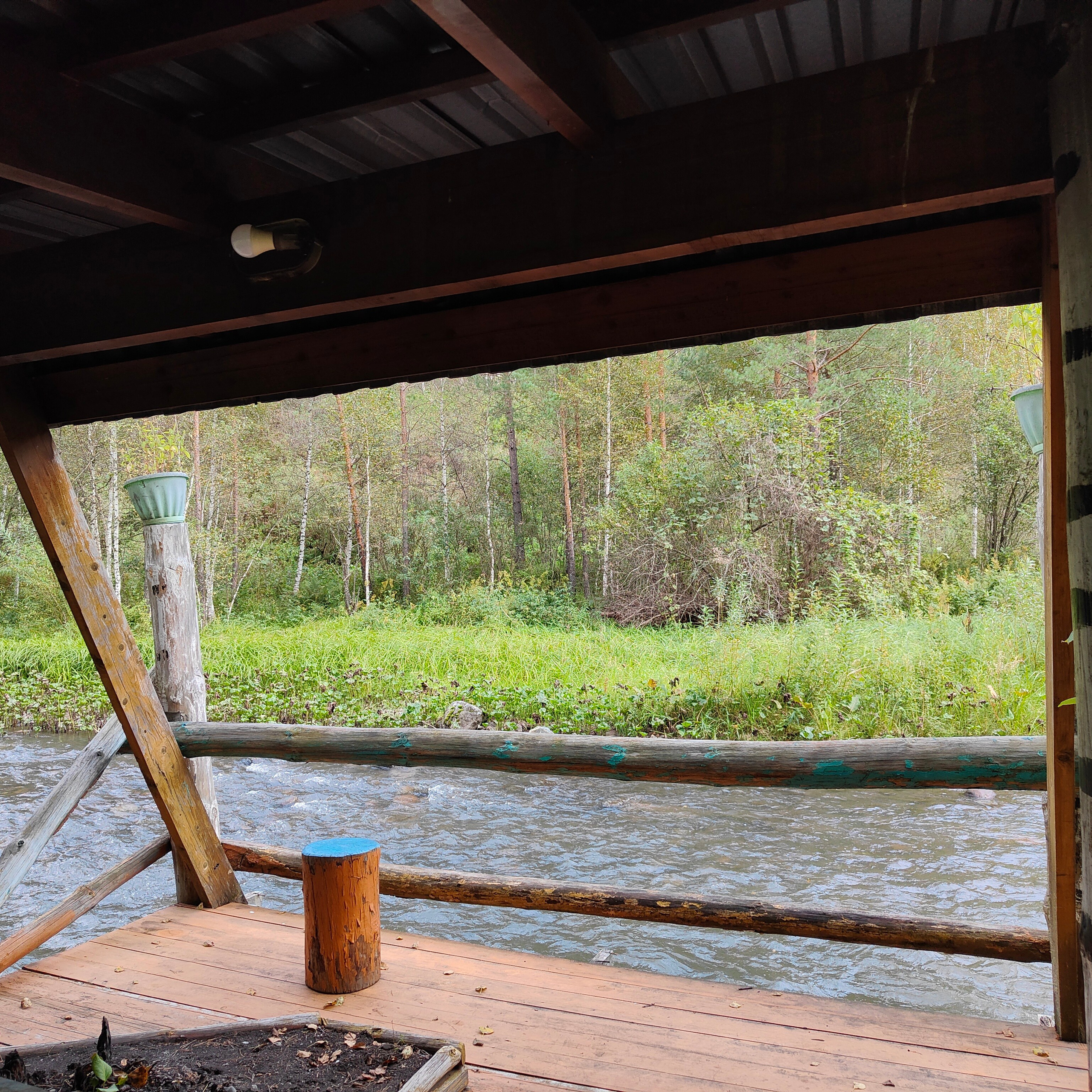 По Чемальскому тракту от Кедрового острова до реки Куюм. Фотограф-документалист Мария Осокина