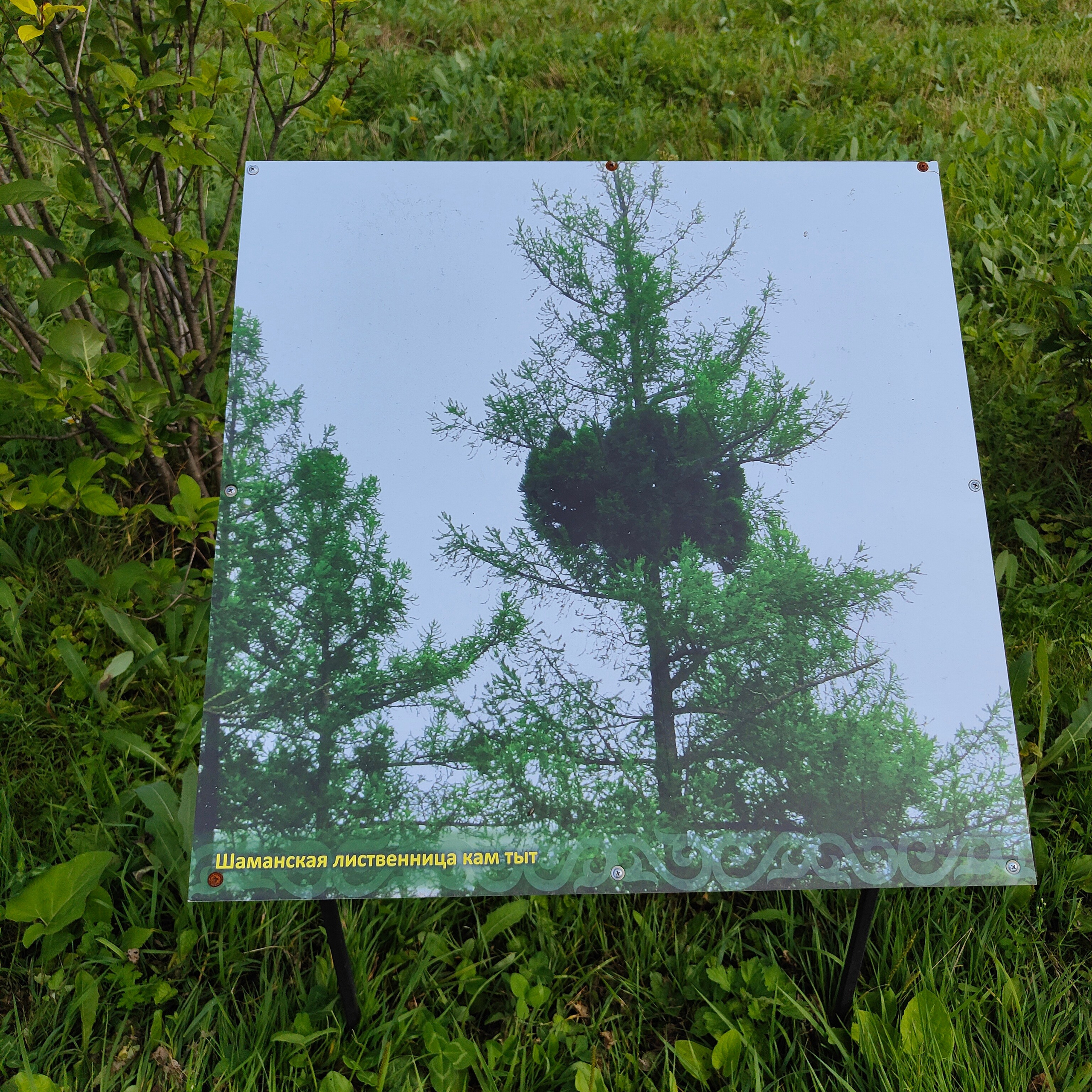 Ботанический сад и Шаманская поляна. Фотограф-документалист Мария Осокина
