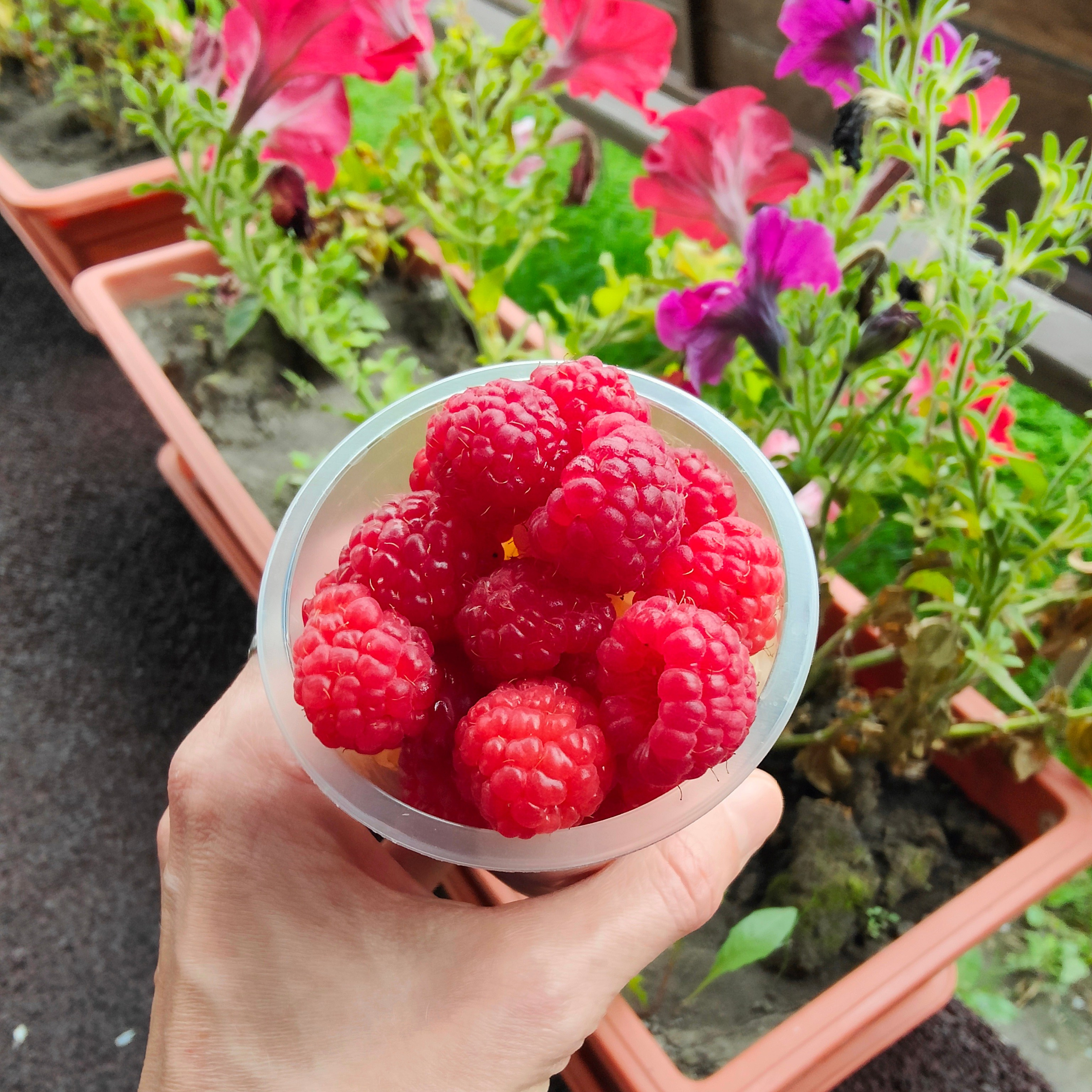 Поздняя осень на Алтае и ламповый уют. Фотограф-документалист Мария Осокина