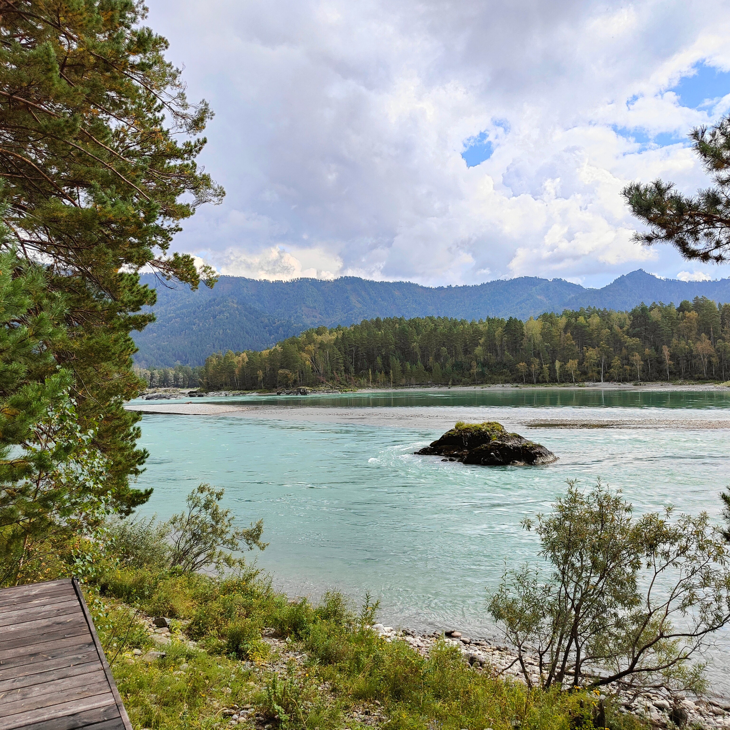 Ловим солнце, от Чемала до Камлака. Утренняя Катунь и осенний Ботанический сад. Фотограф-документалист Мария Осокина