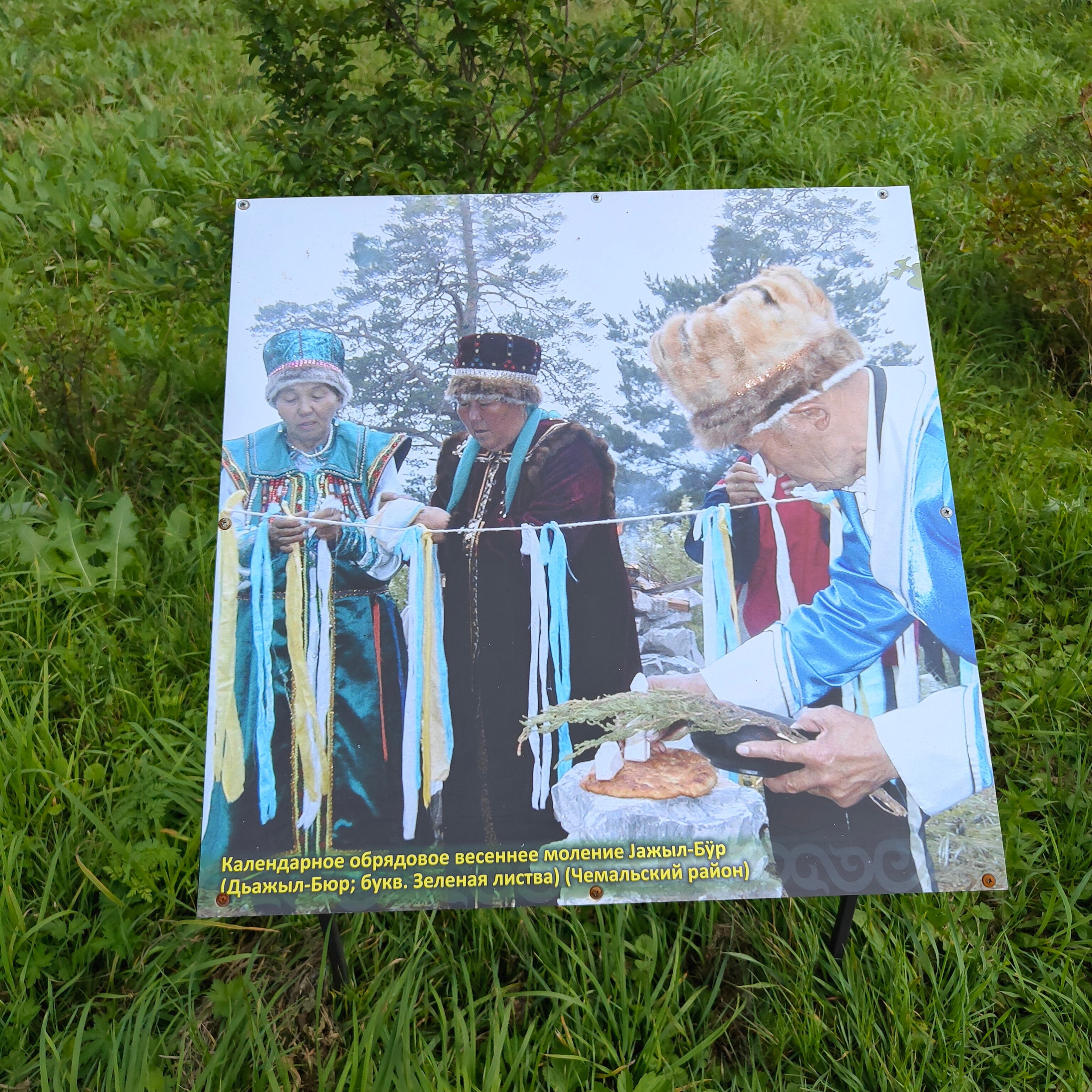 Ботанический сад и Шаманская поляна. Фотограф-документалист Мария Осокина