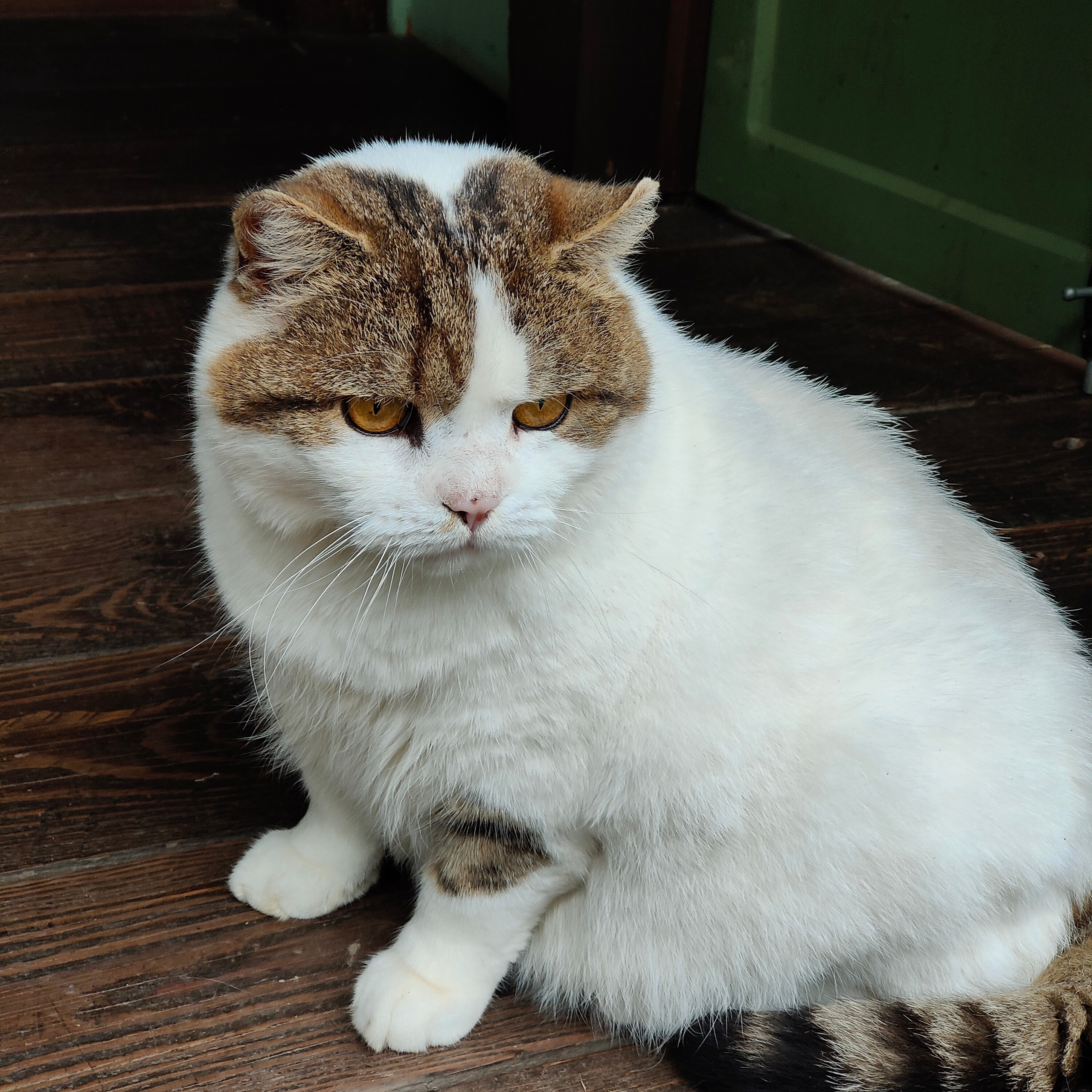 Курорт Манжерок, поход к Золотой Бабе и кофе в Берендеевке. Фотограф-документалист Мария Осокина