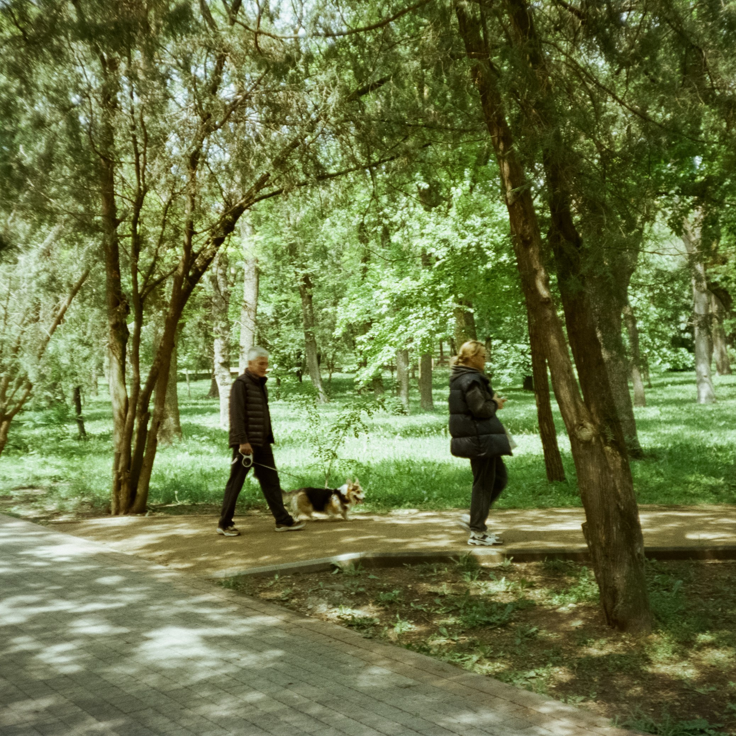 Курортный парк Ессентуков. Прогулка