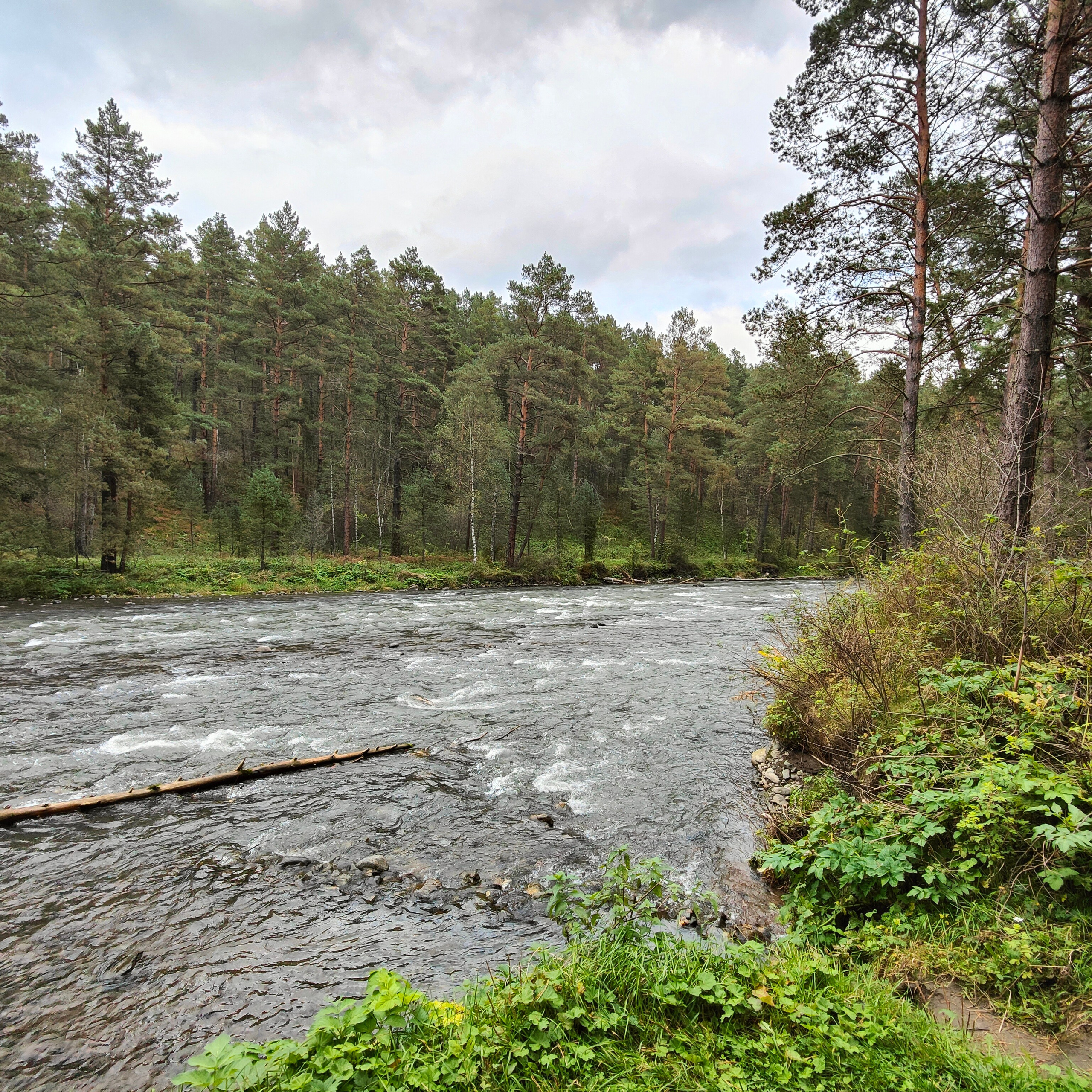 Ловим солнце, от Чемала до Камлака. Утренняя Катунь и осенний Ботанический сад. Фотограф-документалист Мария Осокина