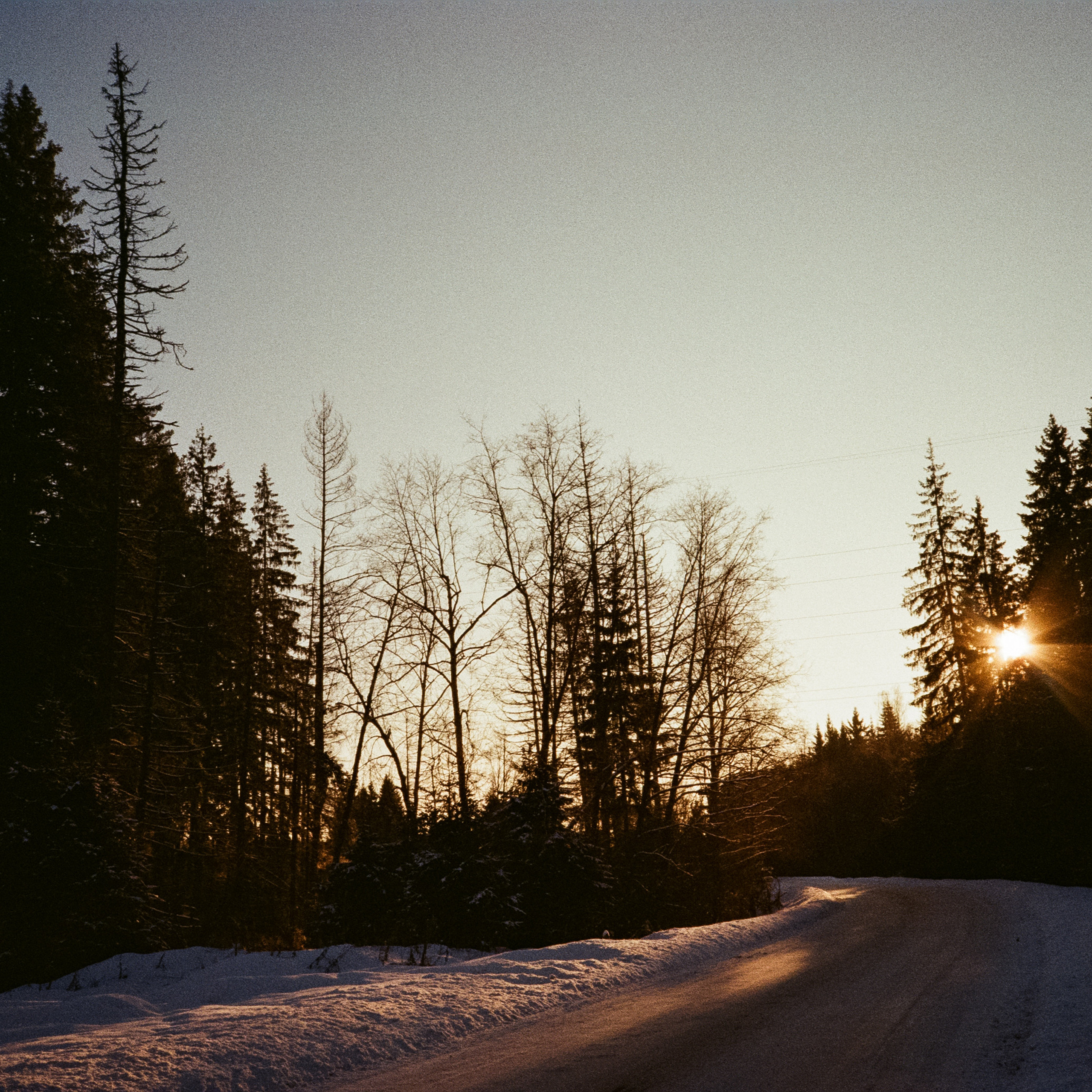 Деревня Лукино. Дорога