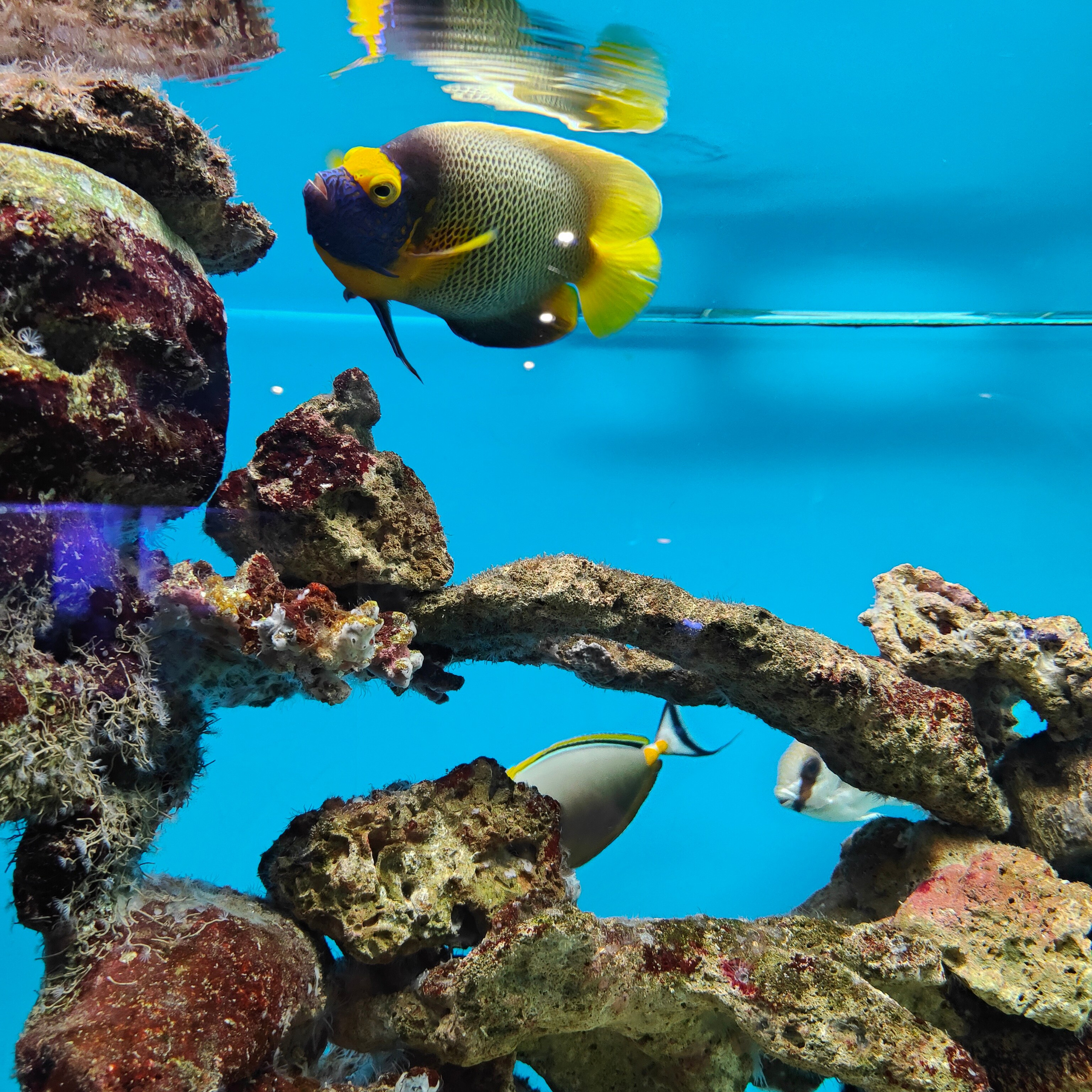 Культурная программа в дождливый день. Фотограф-документалист Мария Осокина