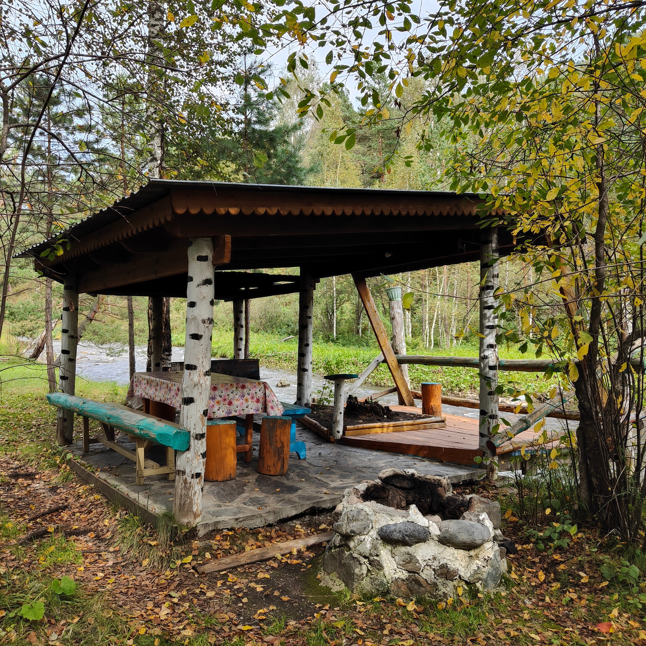 По Чемальскому тракту от Кедрового острова до реки Куюм. Фотограф-документалист Мария Осокина