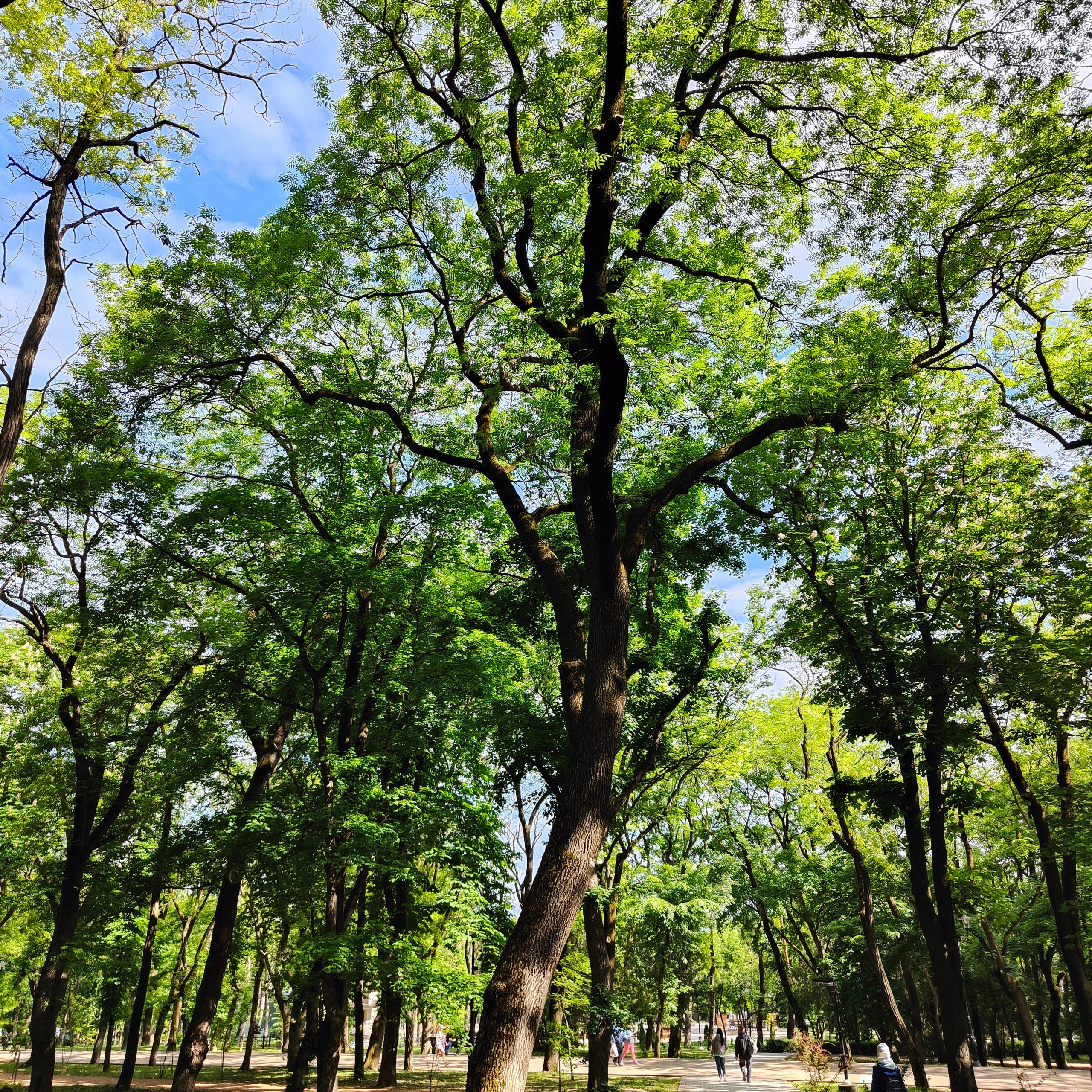 Солнечные Ессентуки. Курортный парк, стрит и кот в окне. Фотограф-документалист Мария Осокина