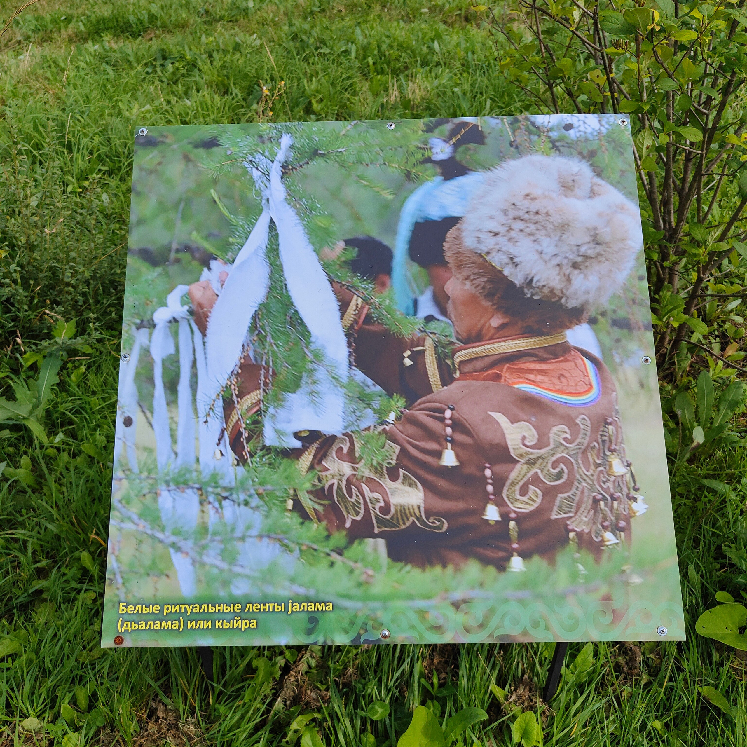 Ботанический сад и Шаманская поляна. Фотограф-документалист Мария Осокина