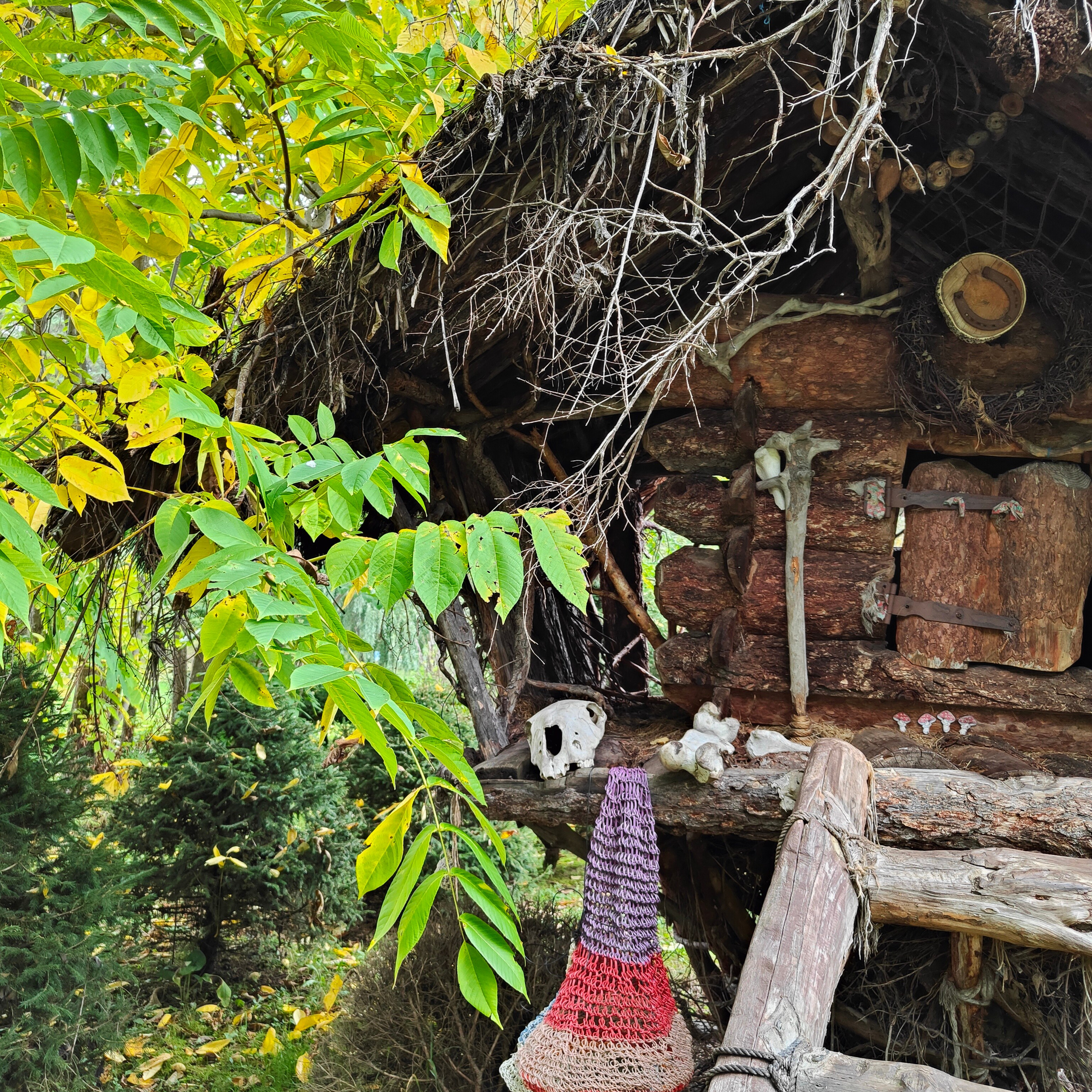 Ловим солнце, от Чемала до Камлака. Утренняя Катунь и осенний Ботанический сад. Фотограф-документалист Мария Осокина