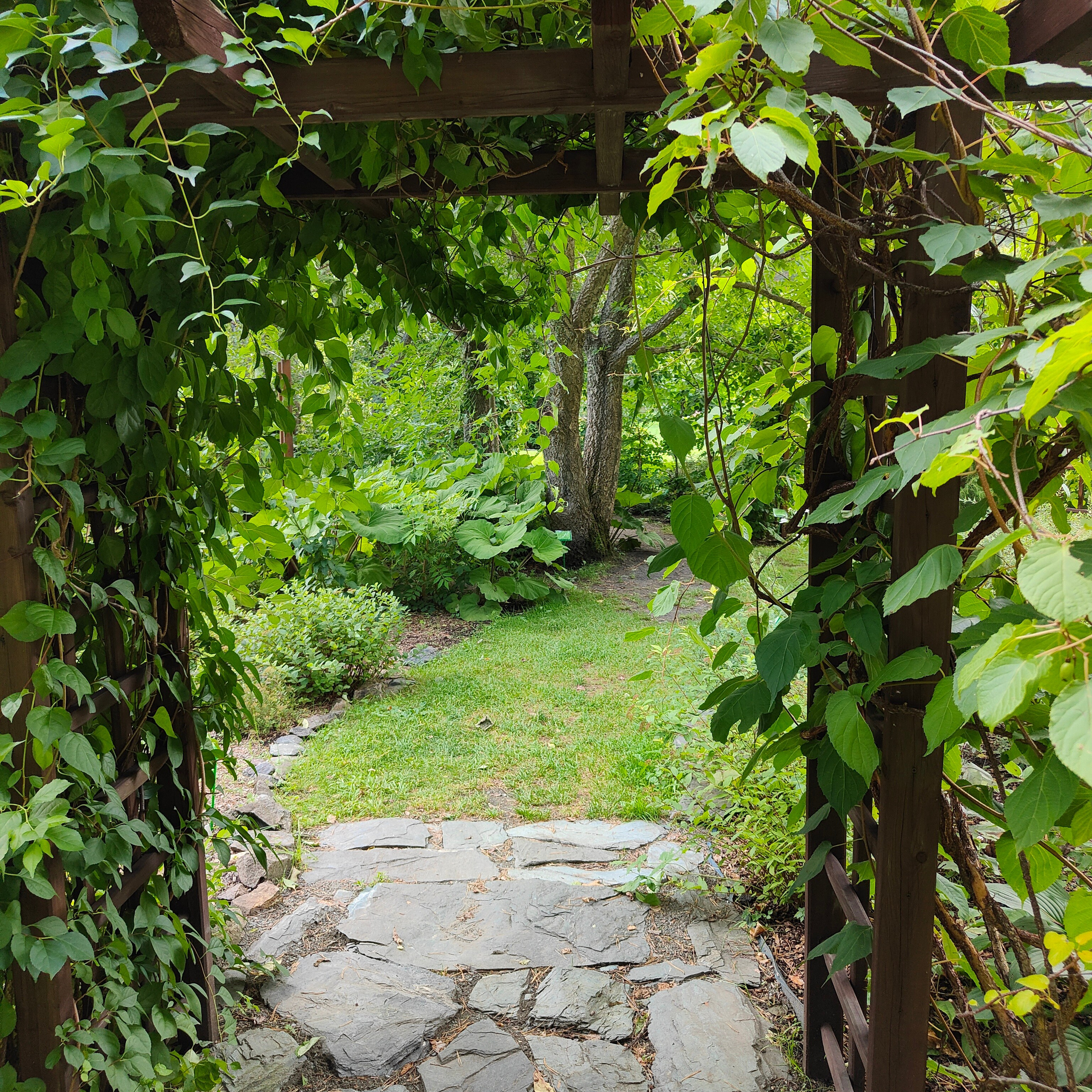 Ботанический сад и Шаманская поляна. Фотограф-документалист Мария Осокина