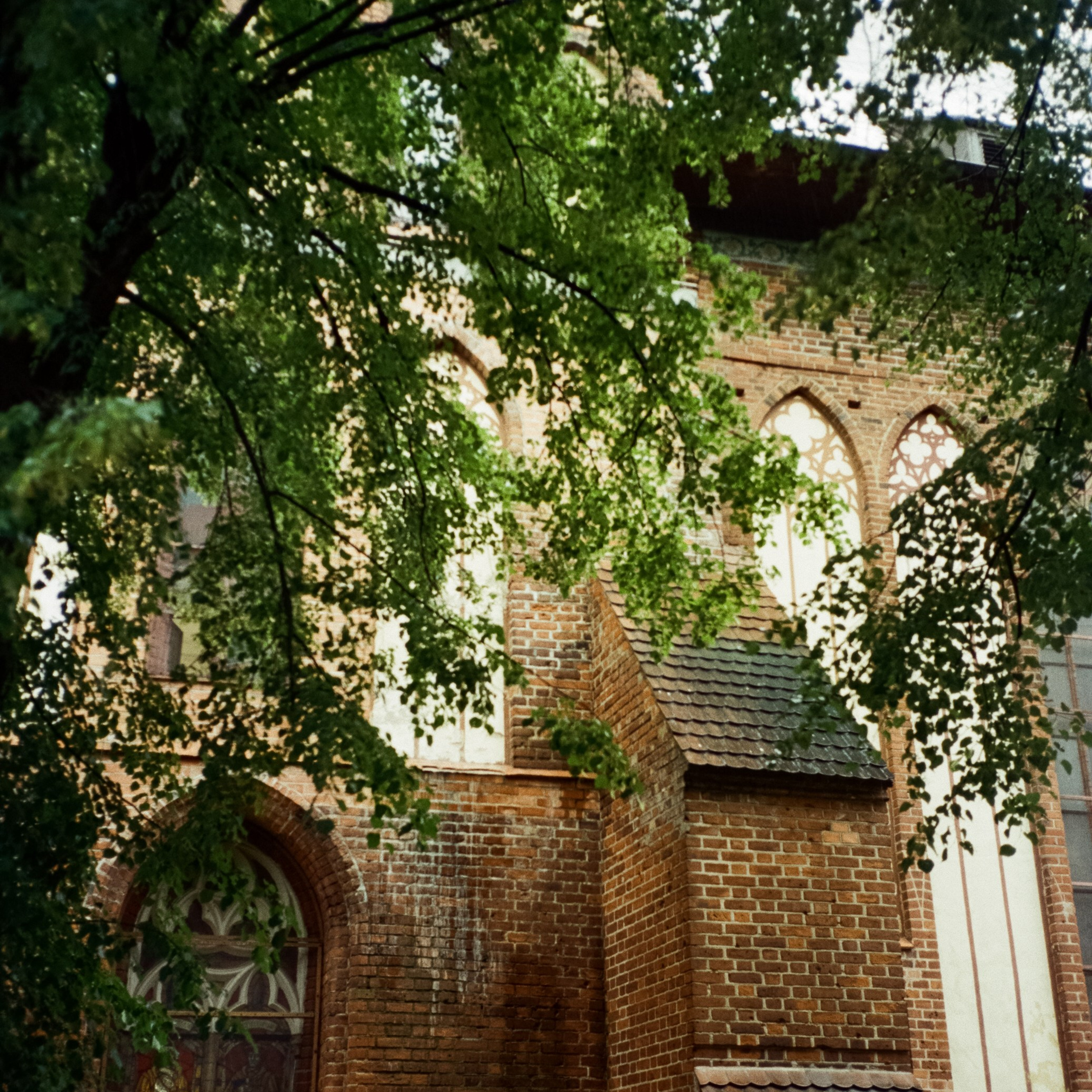 Остров Канта и Кафедральный Собор