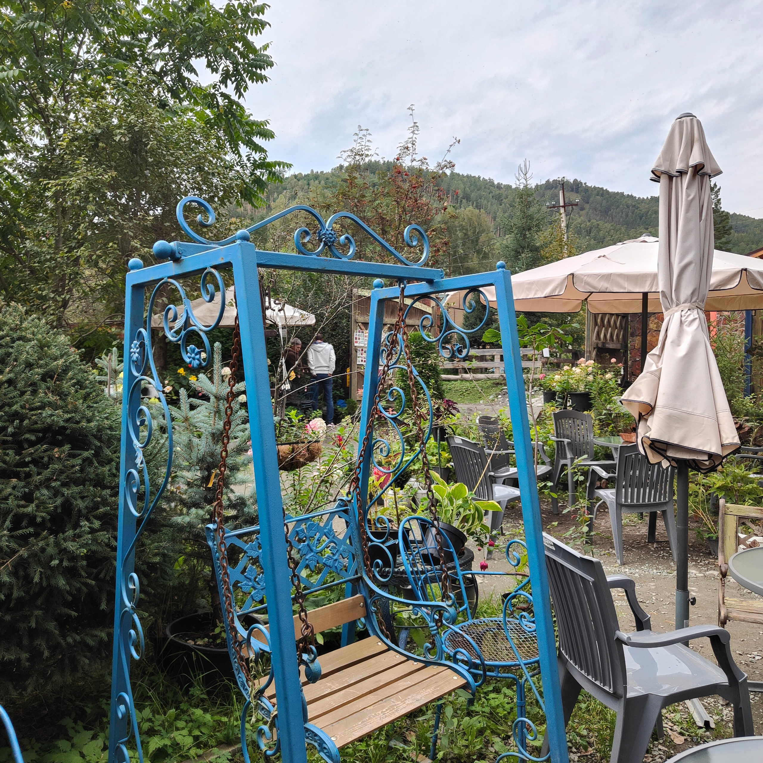 Зубы Дракона и солнечный подарок. Сад пионов. Фотограф-документалист Мария Осокина