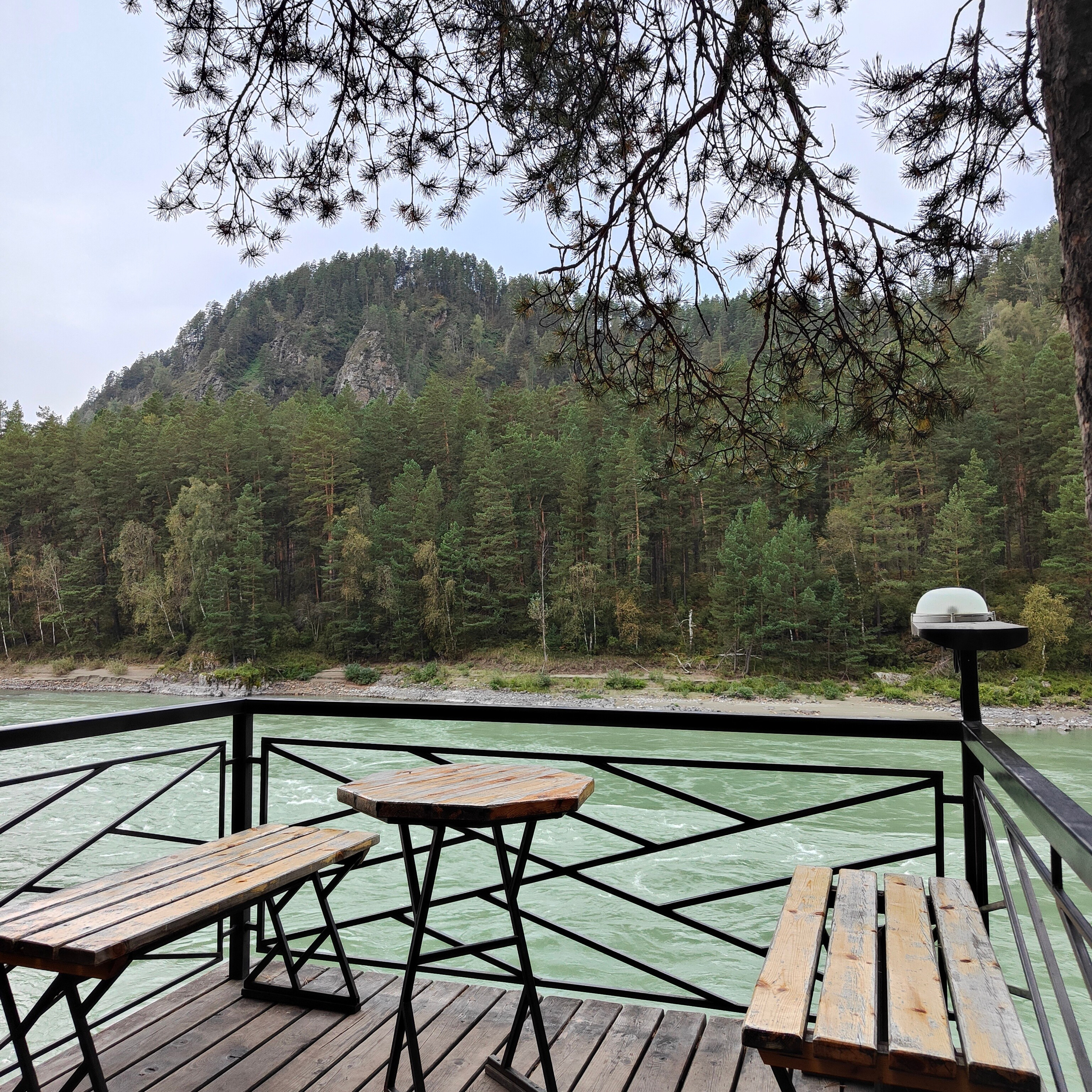 Панорамы Катуни и река Сема в Ботаническом саду. Фотограф-документалист Мария Осокина