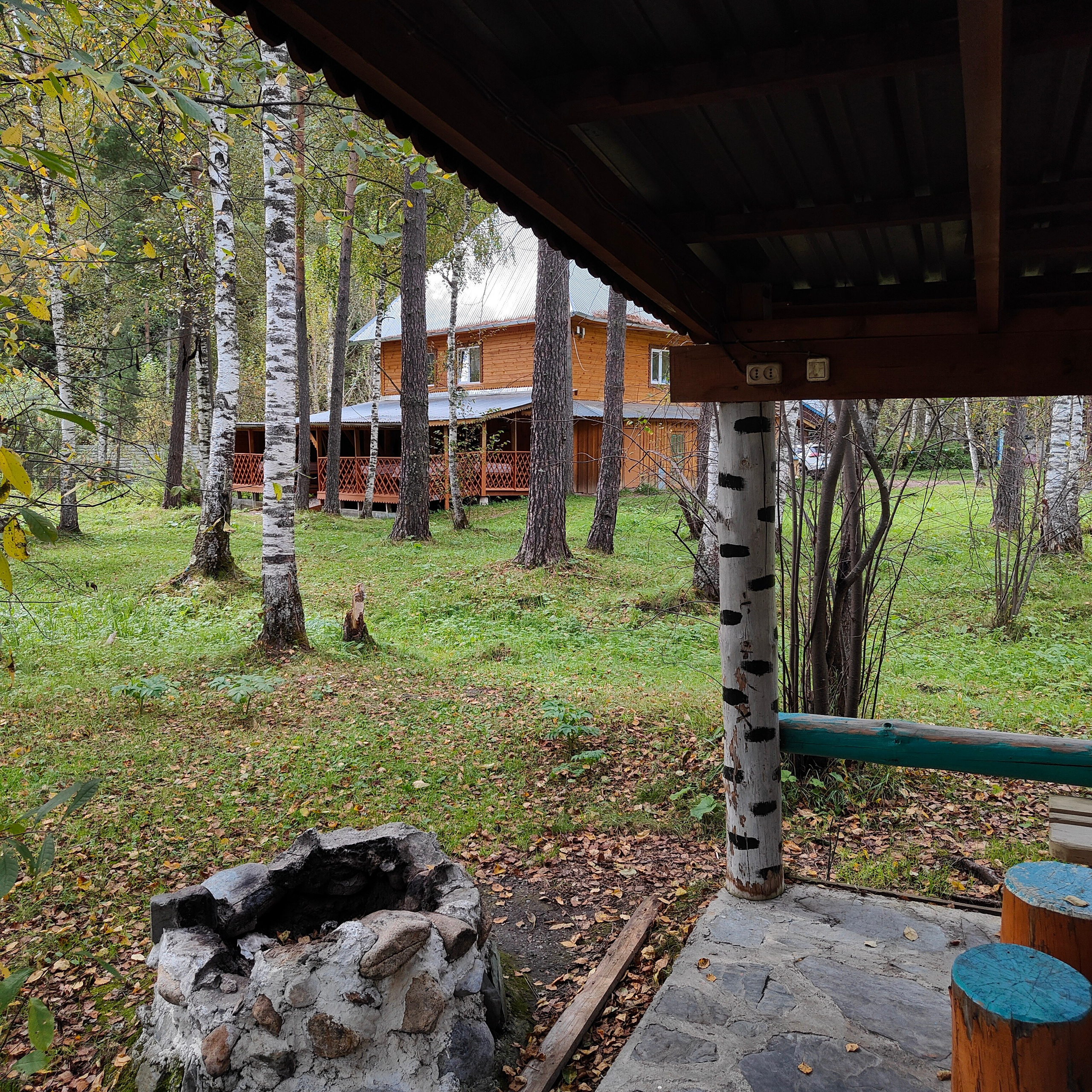 По Чемальскому тракту от Кедрового острова до реки Куюм. Фотограф-документалист Мария Осокина