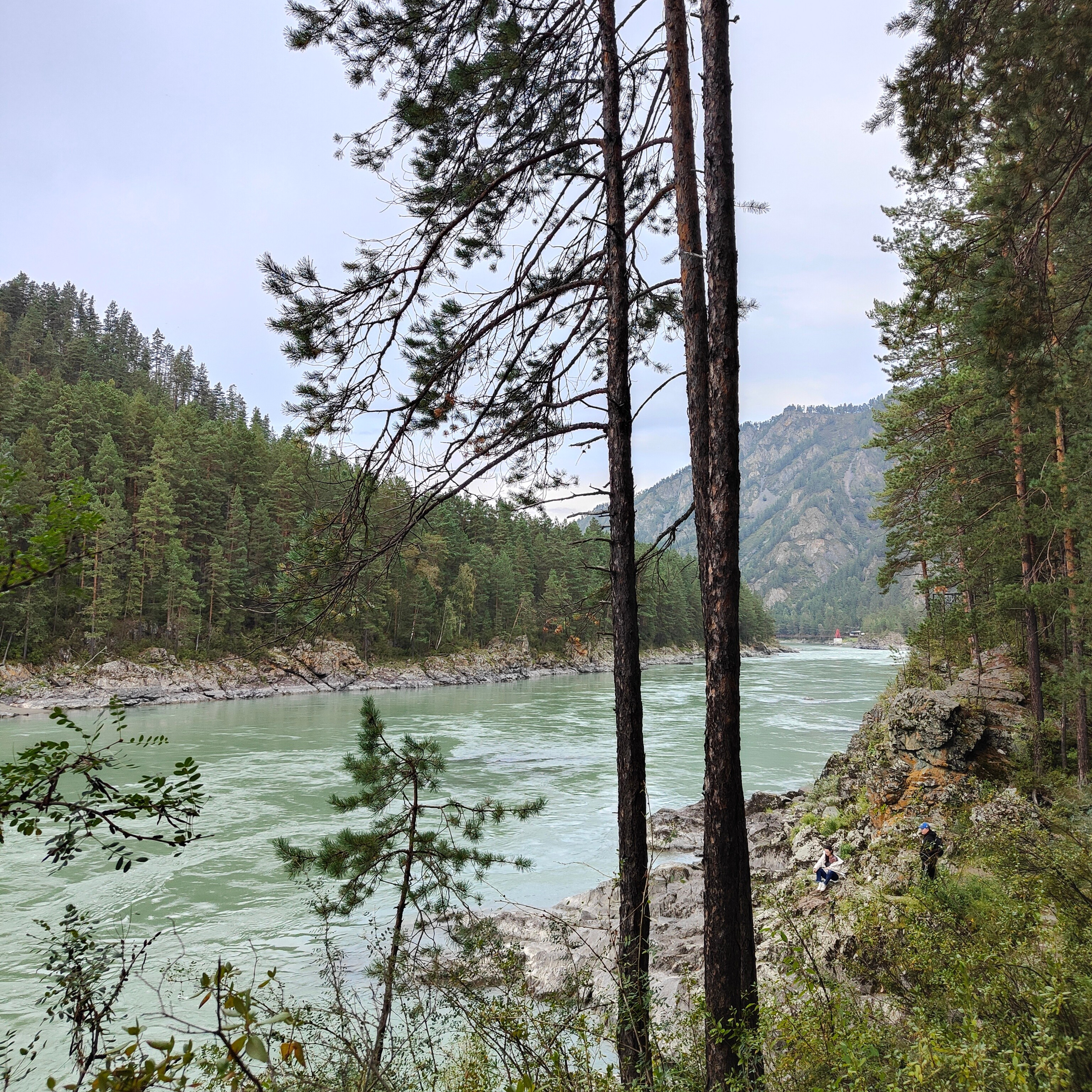 Панорамы Катуни и река Сема в Ботаническом саду. Фотограф-документалист Мария Осокина