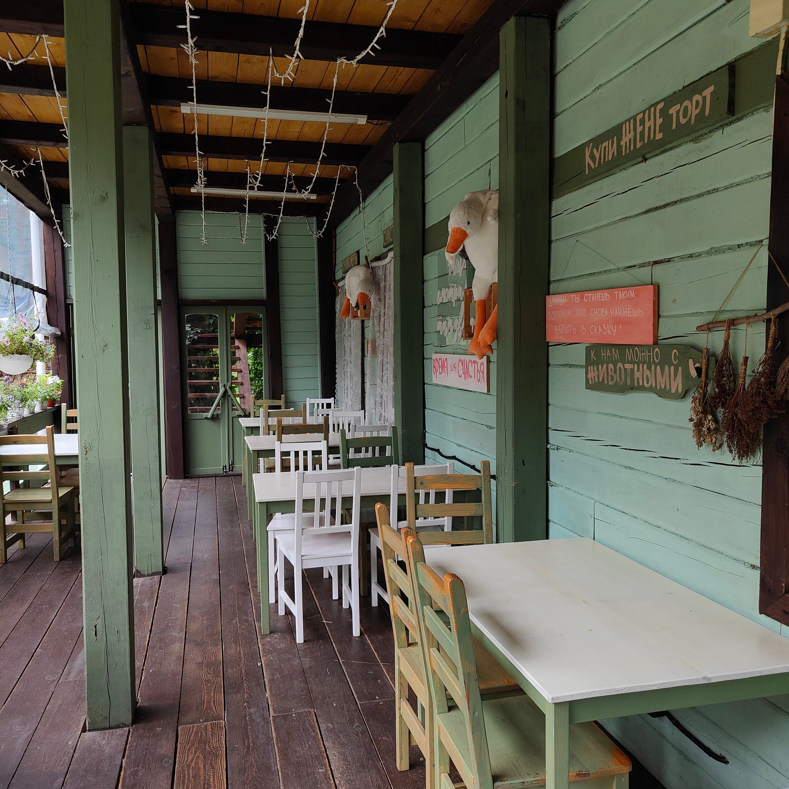 Верхи Алтая и деревня Берендеевка. Фотограф-документалист Мария Осокина