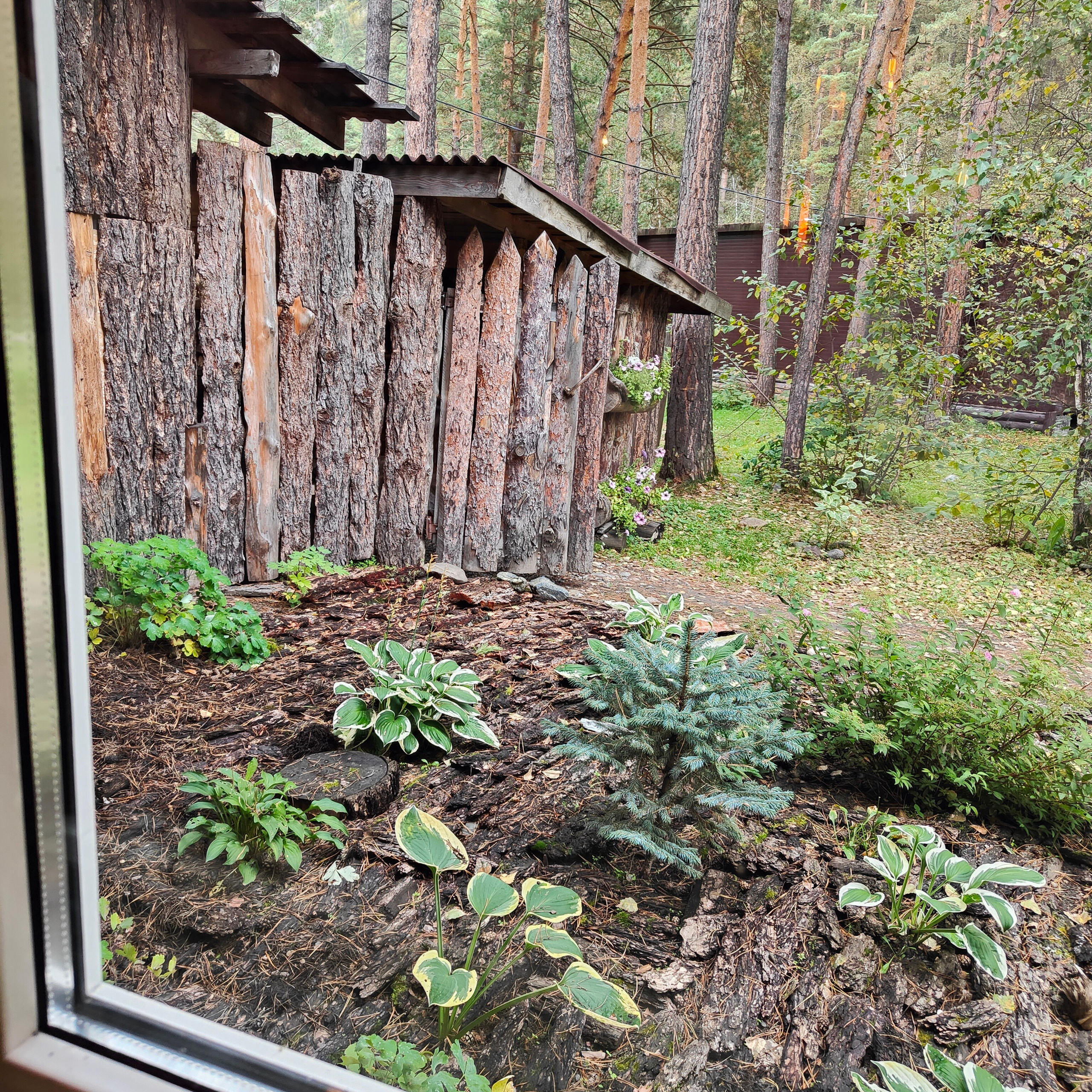 По любимым местам, куда зовет Алтай. Фотограф-документалист Мария Осокина