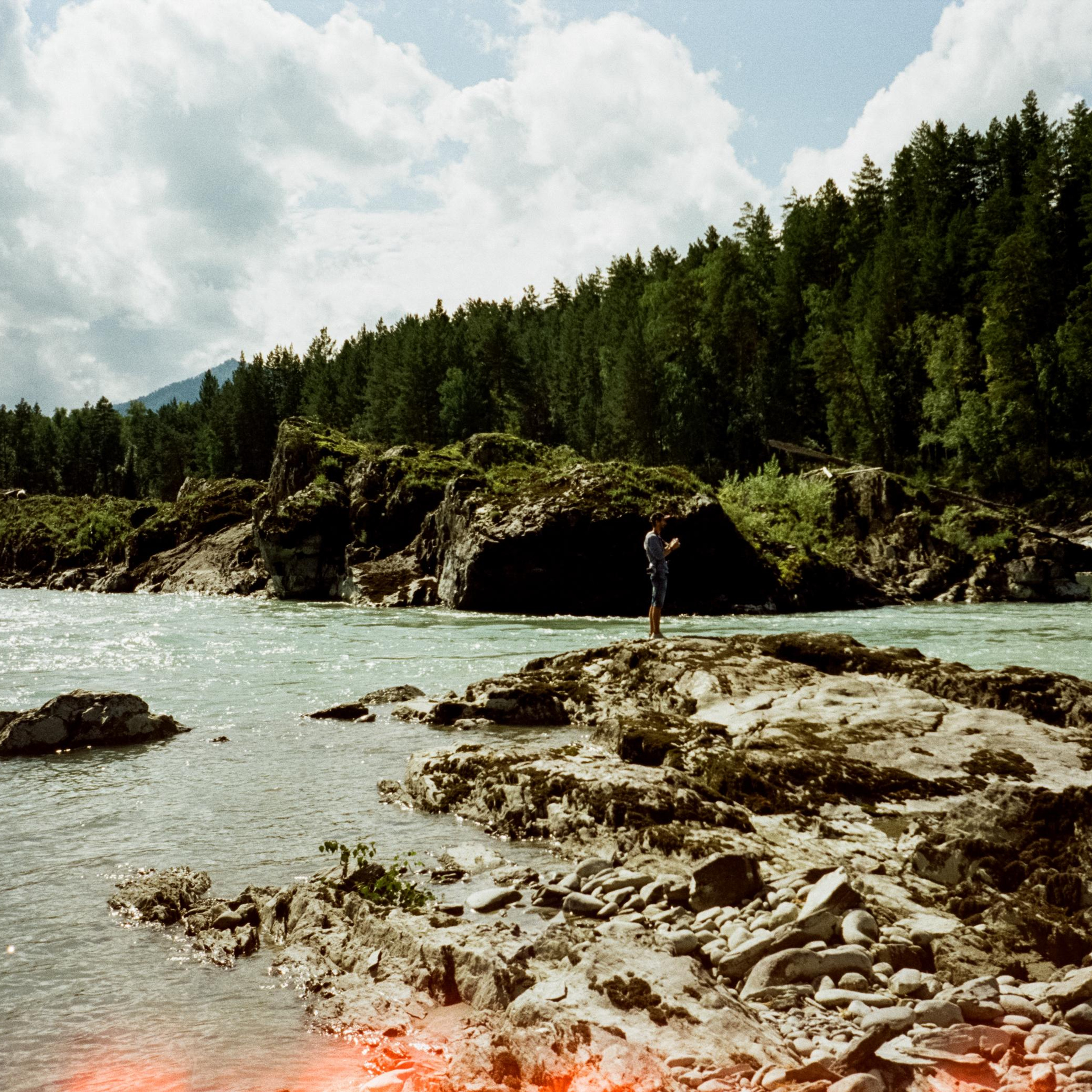 Катунь, острова и сосны в солнечный день