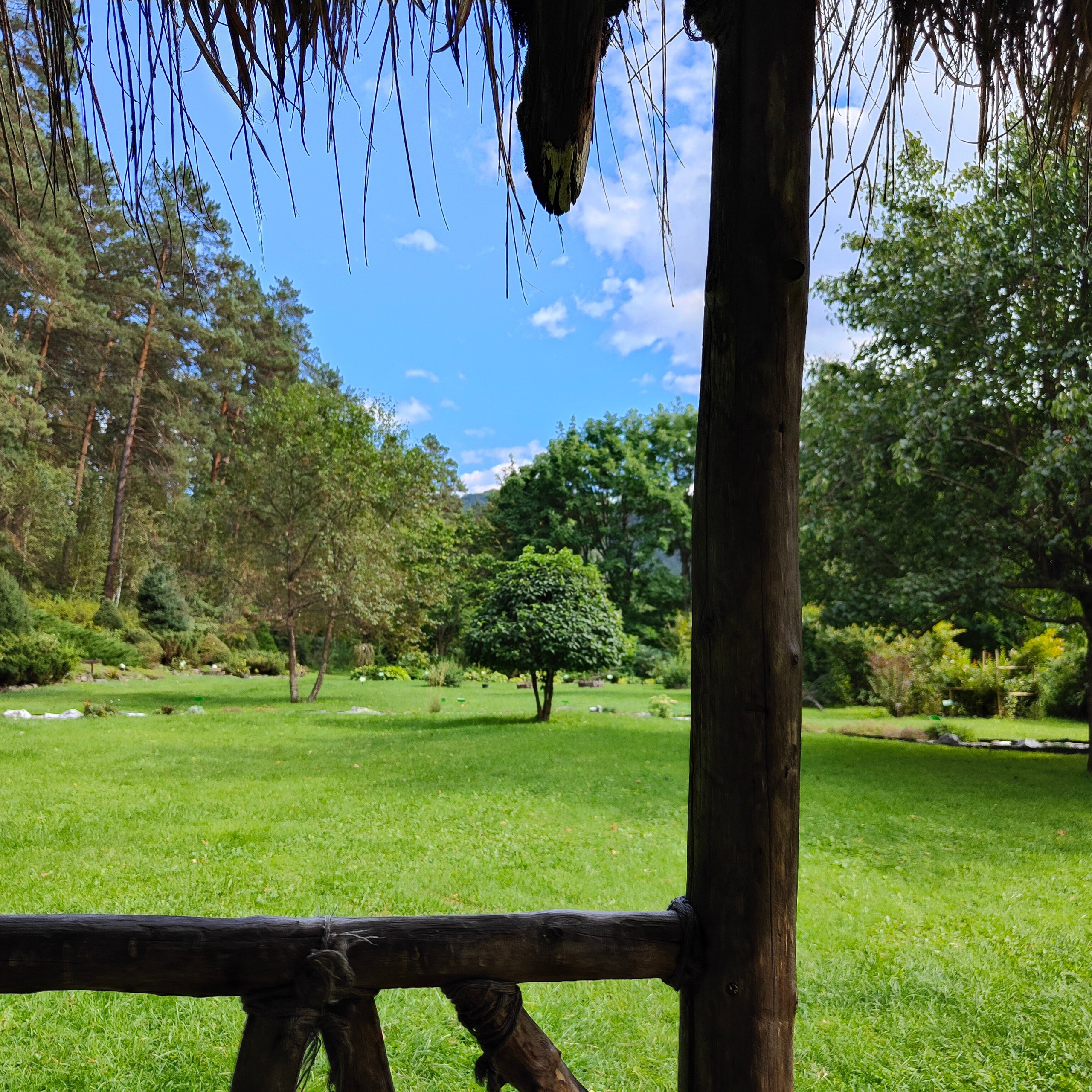 Ботанический сад и Шаманская поляна. Фотограф-документалист Мария Осокина