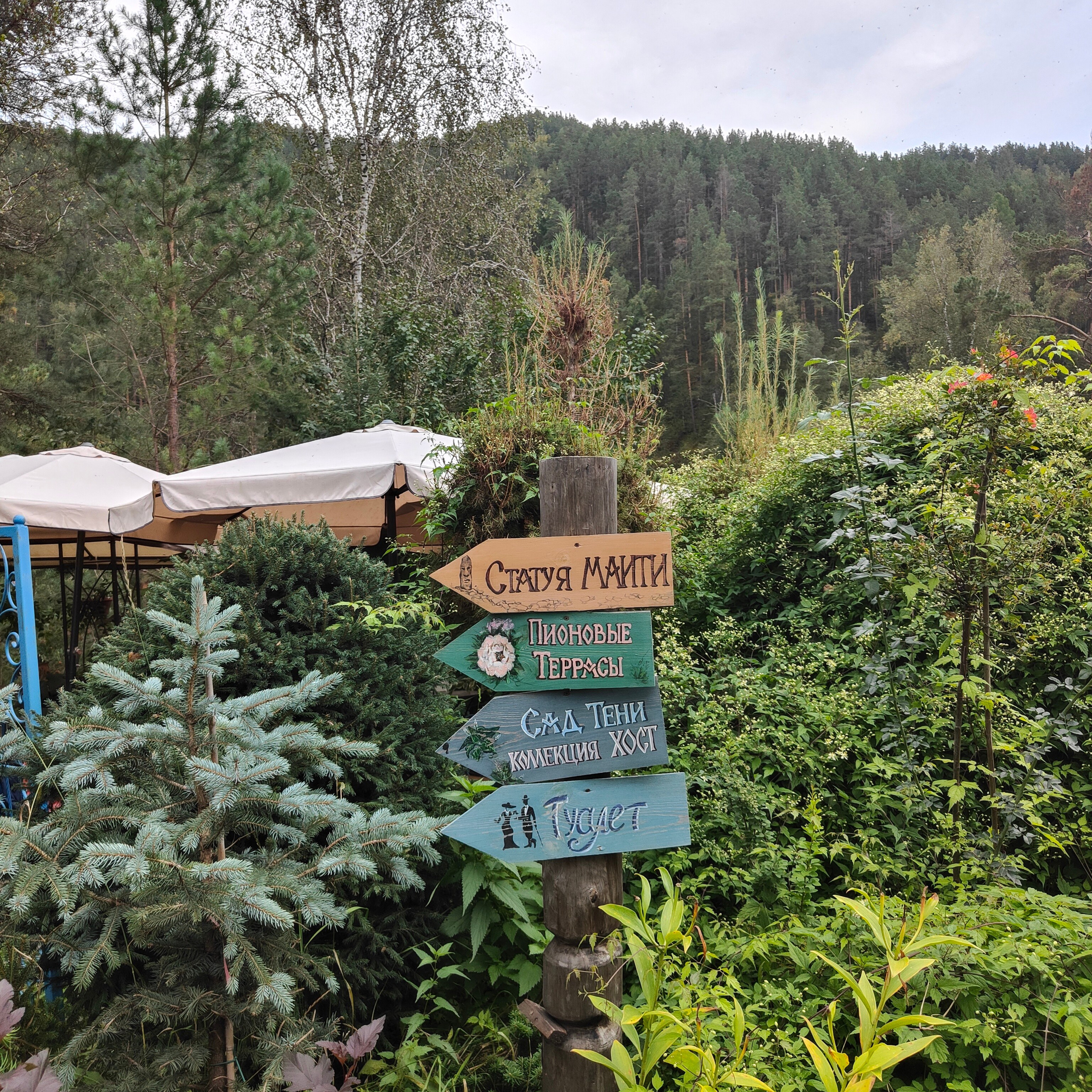 Зубы Дракона и солнечный подарок. Сад пионов. Фотограф-документалист Мария Осокина