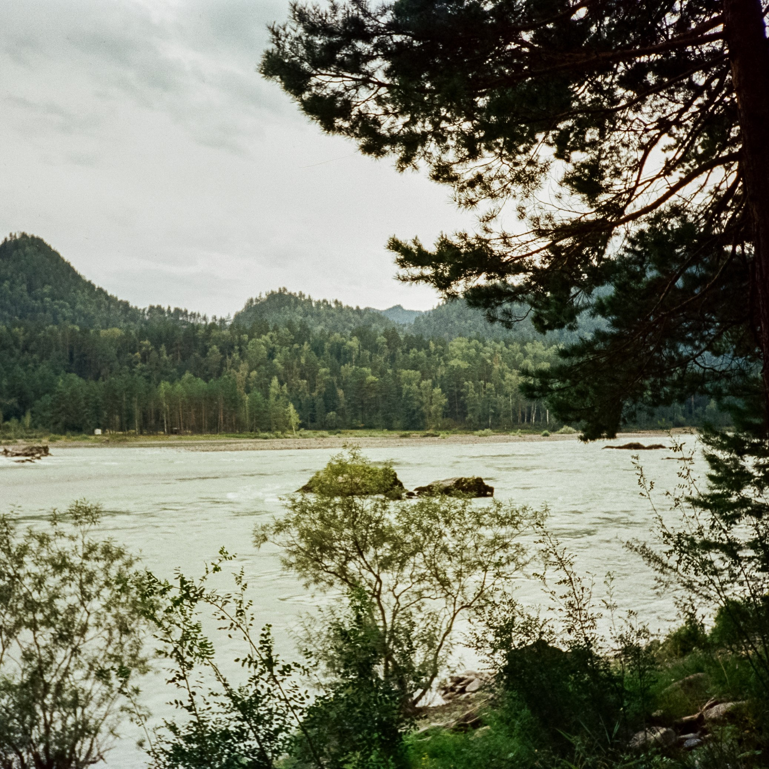 Знакомые места Чемальского тракта