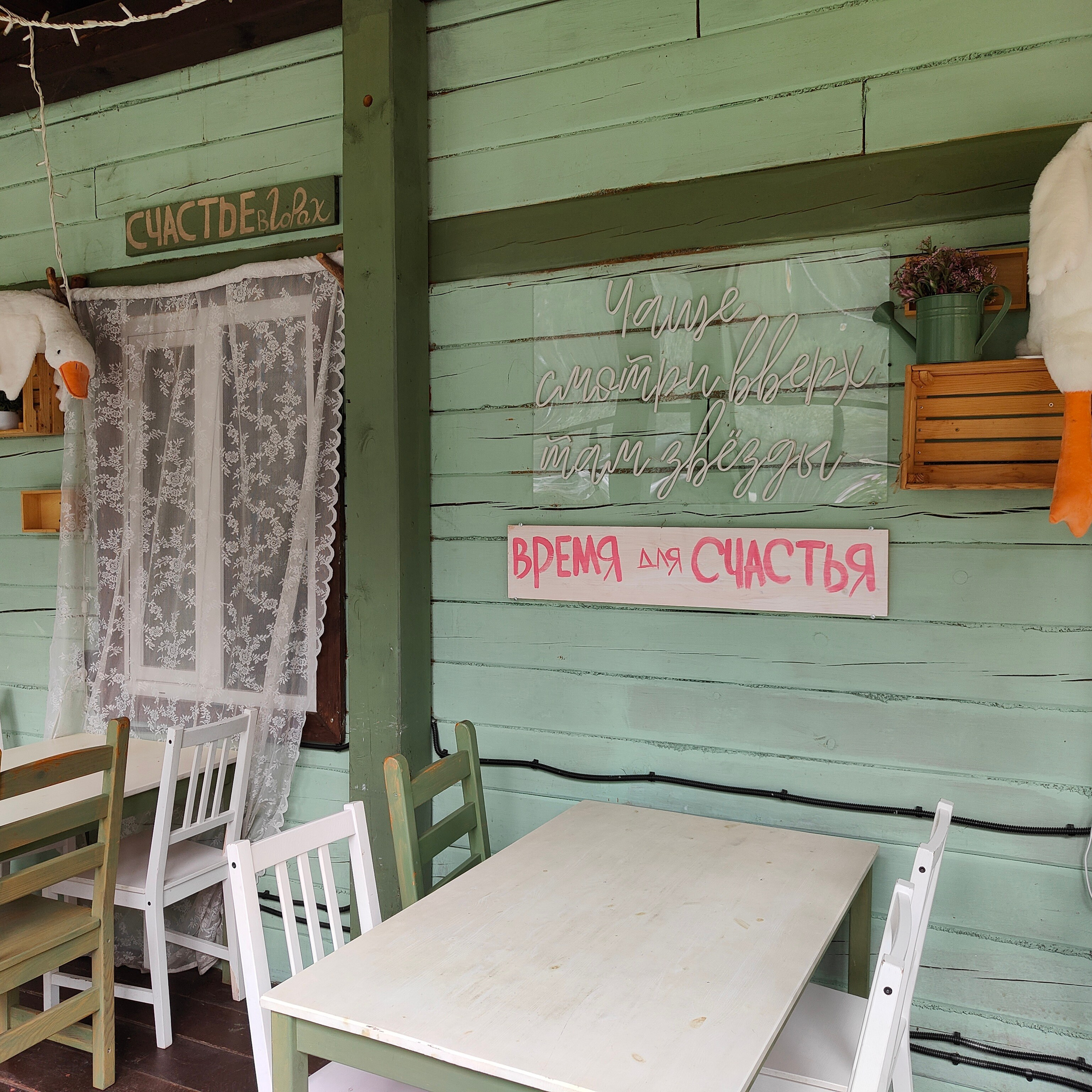 Верхи Алтая и деревня Берендеевка. Фотограф-документалист Мария Осокина