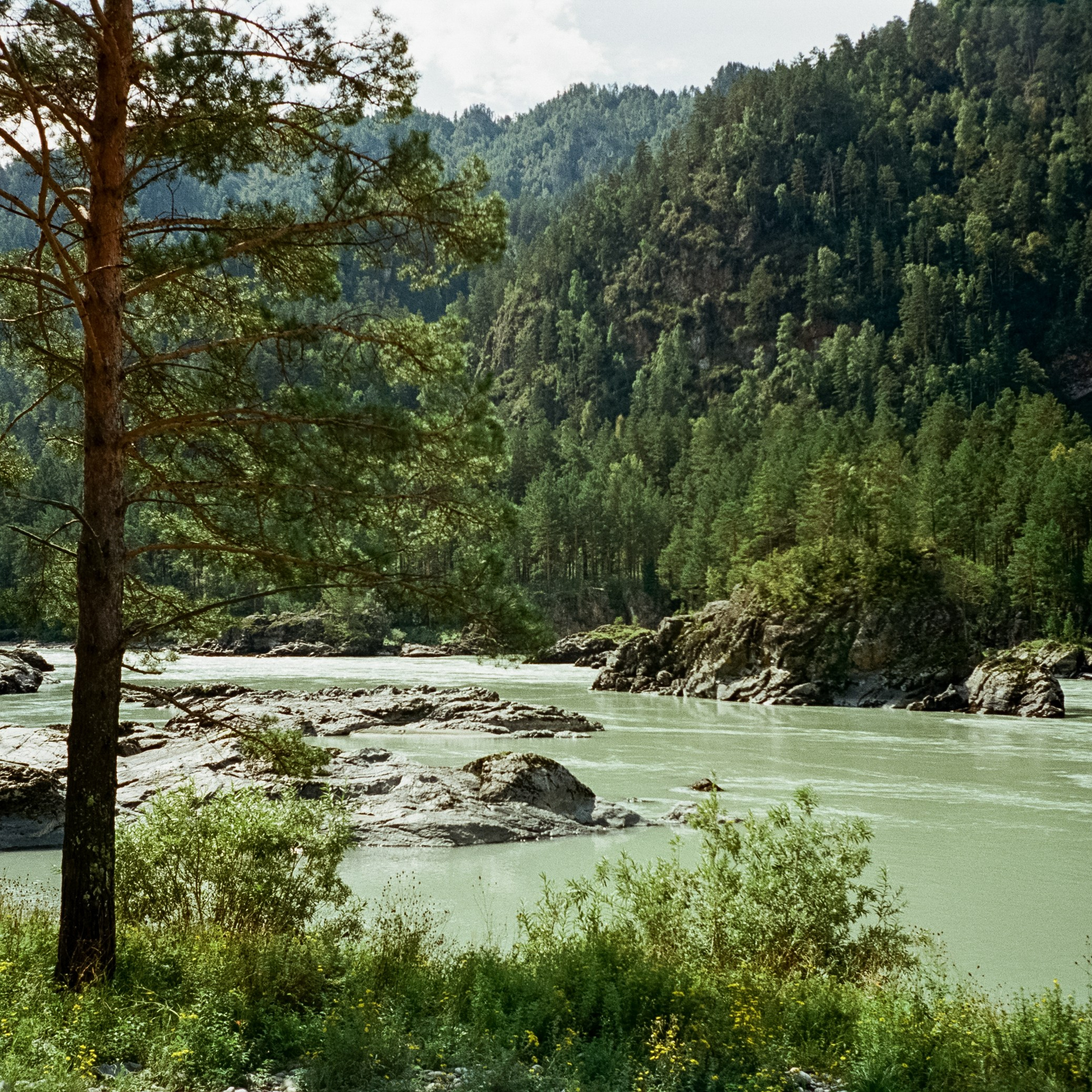 Кедровый остров, Катунь и скалы