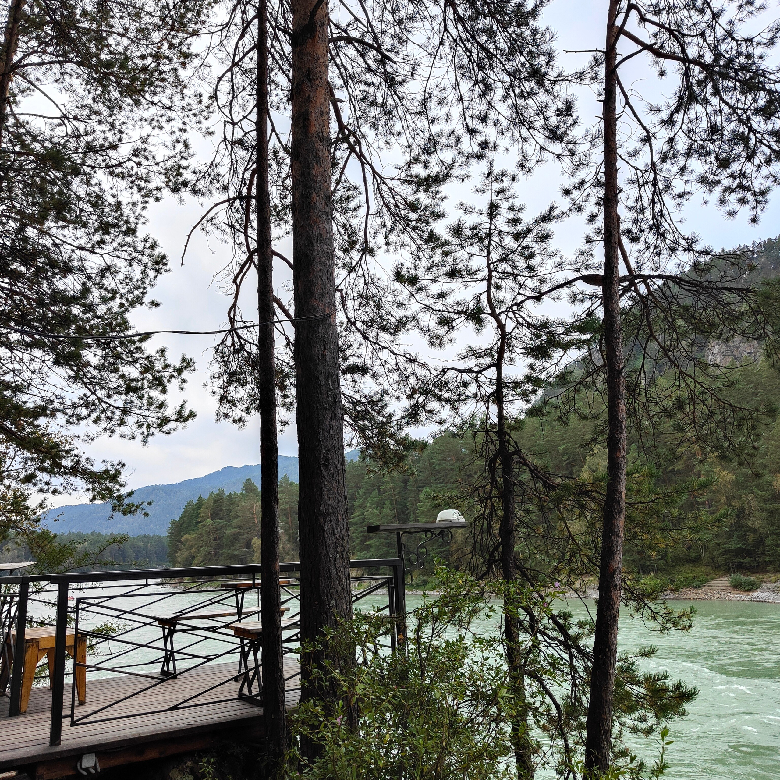 Панорамы Катуни и река Сема в Ботаническом саду. Фотограф-документалист Мария Осокина