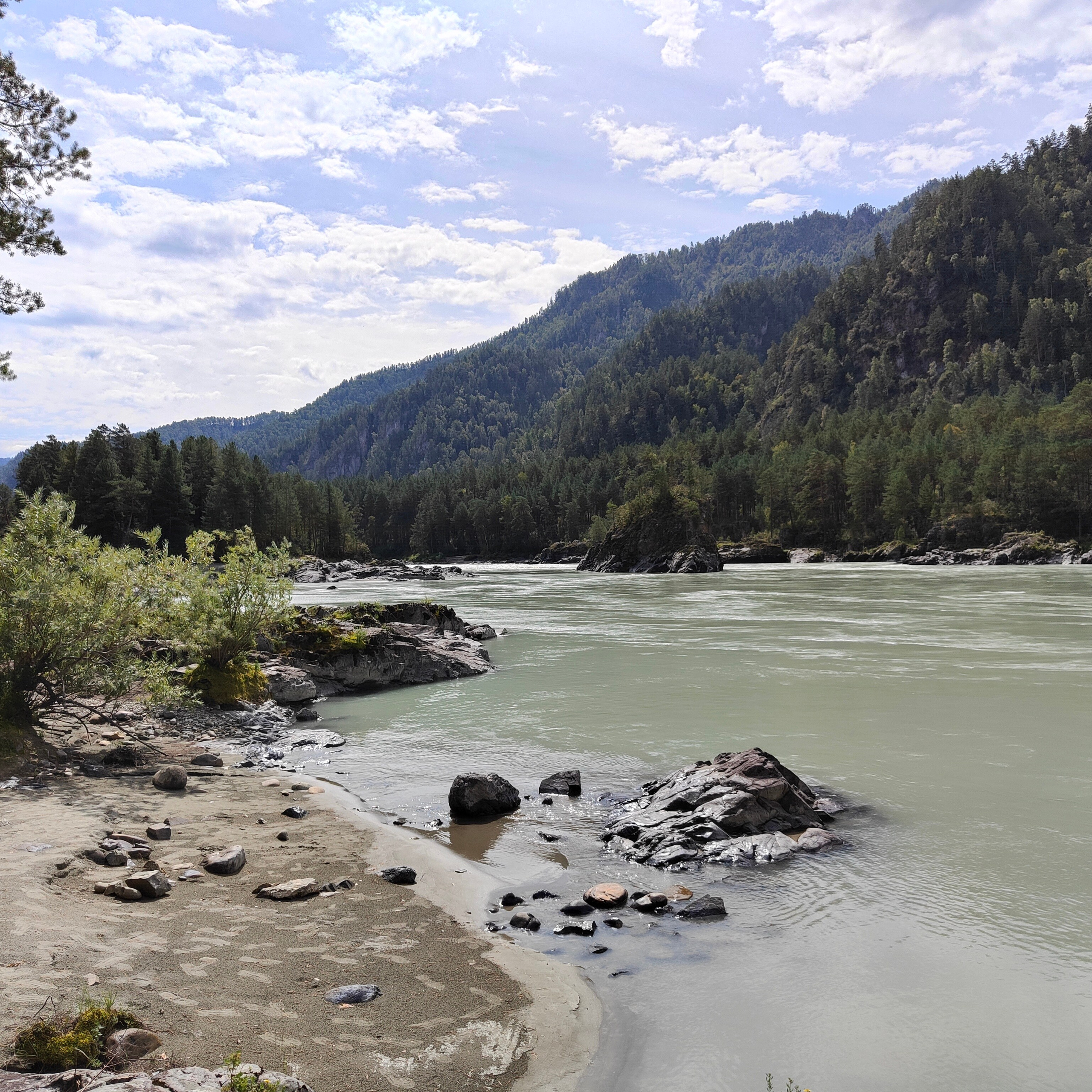 По Чемальскому тракту от Кедрового острова до реки Куюм. Фотограф-документалист Мария Осокина