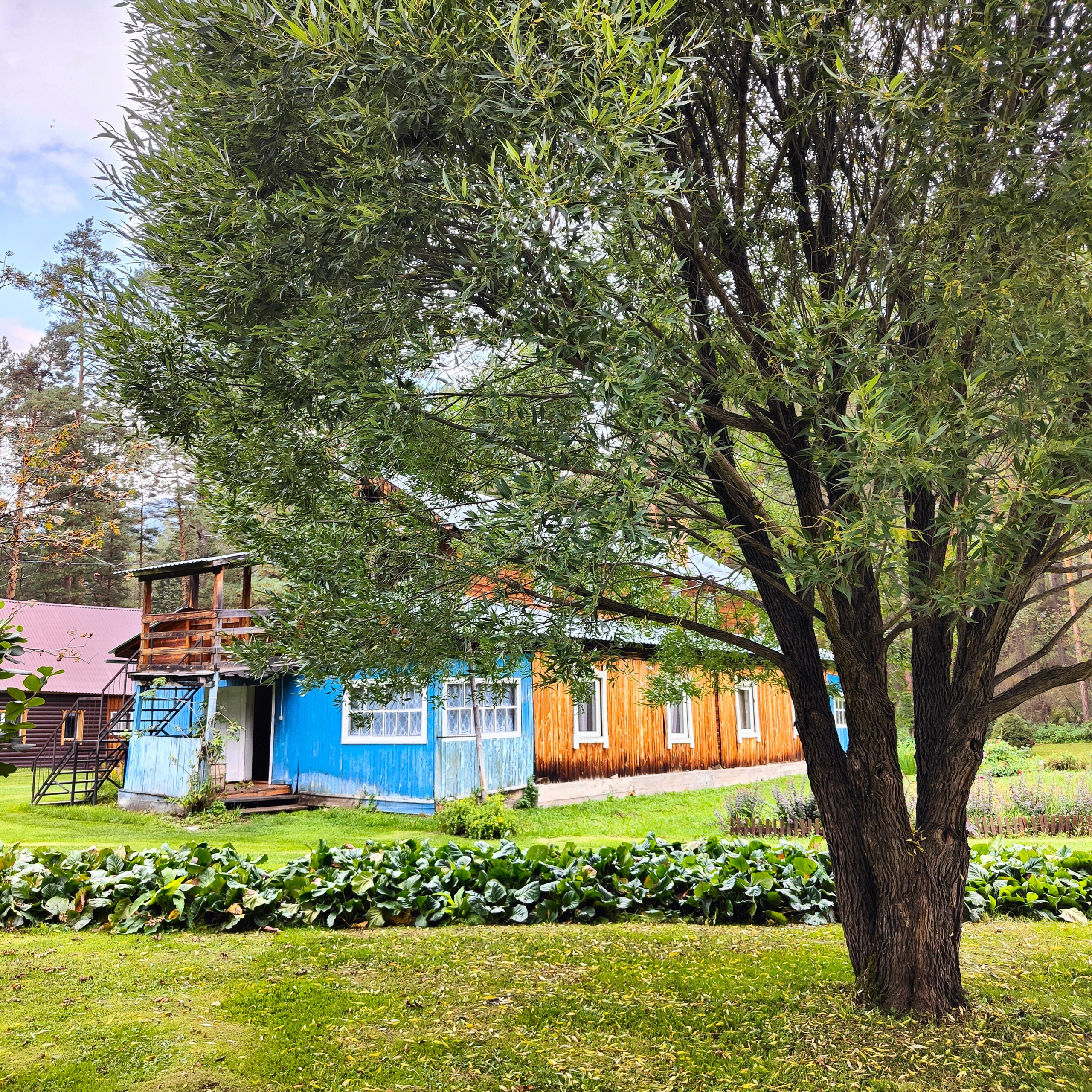 Ловим солнце, от Чемала до Камлака. Утренняя Катунь и осенний Ботанический сад. Фотограф-документалист Мария Осокина