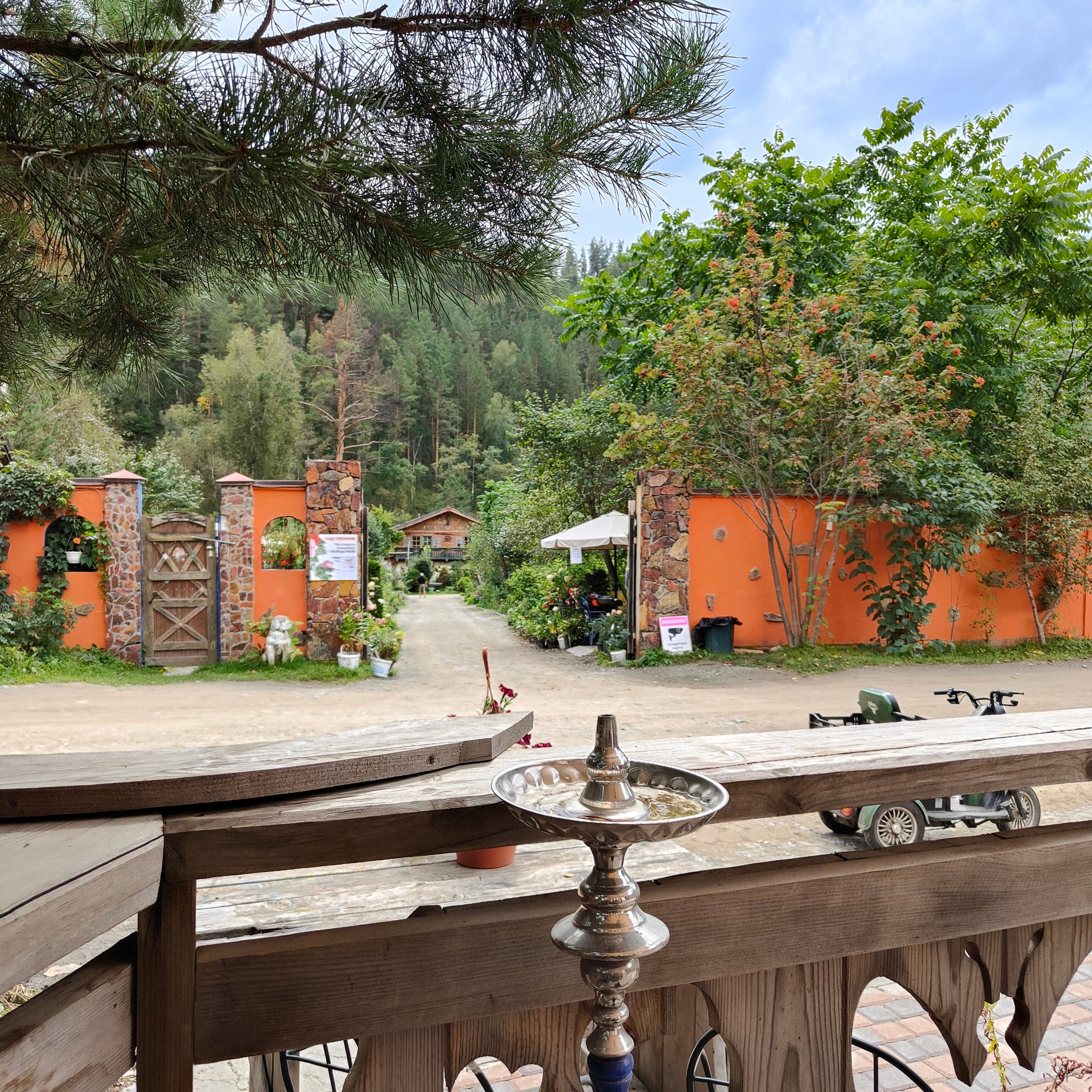 По Чемальскому тракту от Кедрового острова до реки Куюм. Фотограф-документалист Мария Осокина