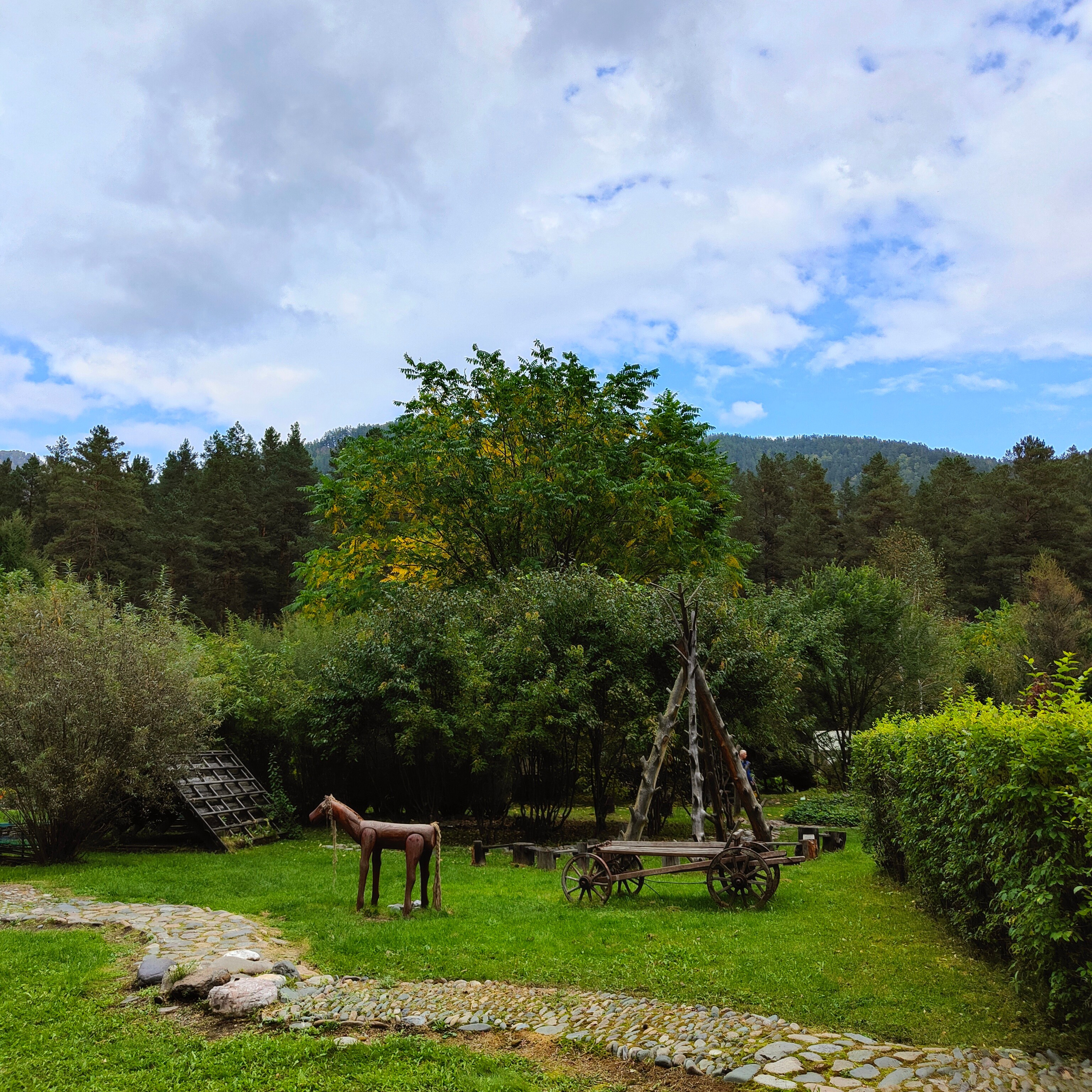 Ловим солнце, от Чемала до Камлака. Утренняя Катунь и осенний Ботанический сад. Фотограф-документалист Мария Осокина