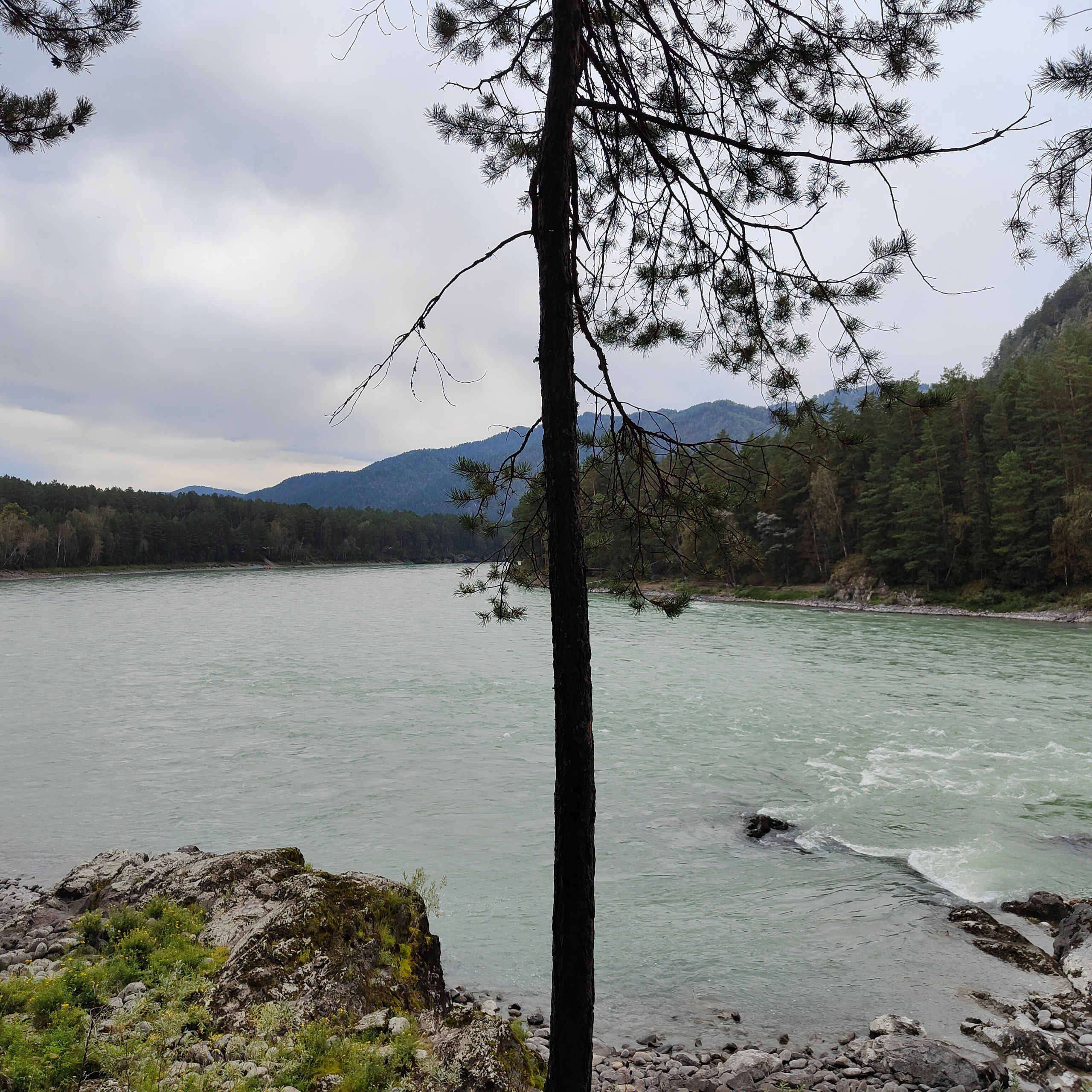 Панорамы Катуни и река Сема в Ботаническом саду. Фотограф-документалист Мария Осокина