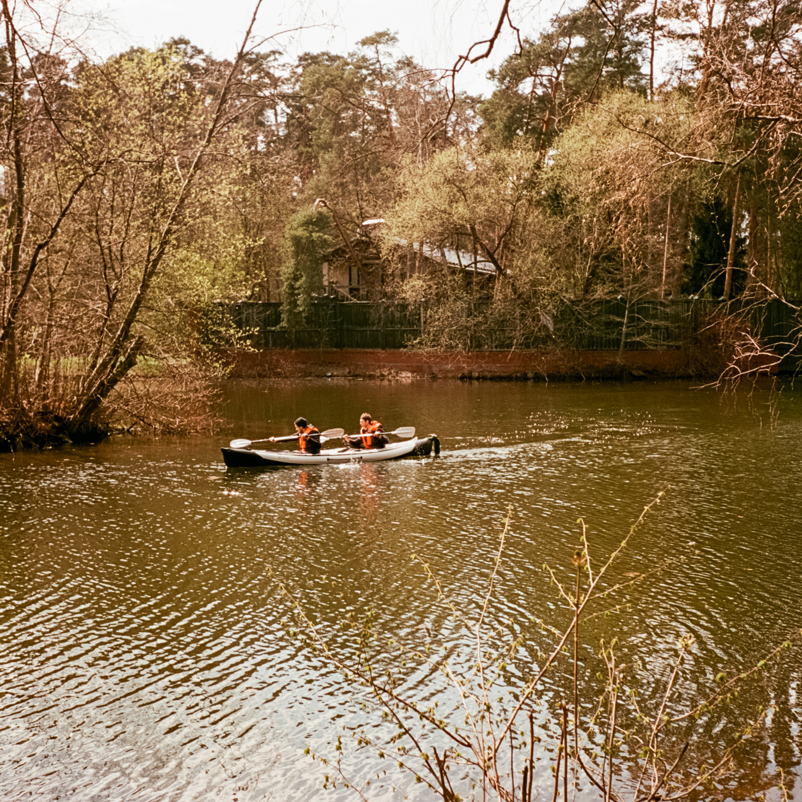Серебряный Бор. Май. Сепия