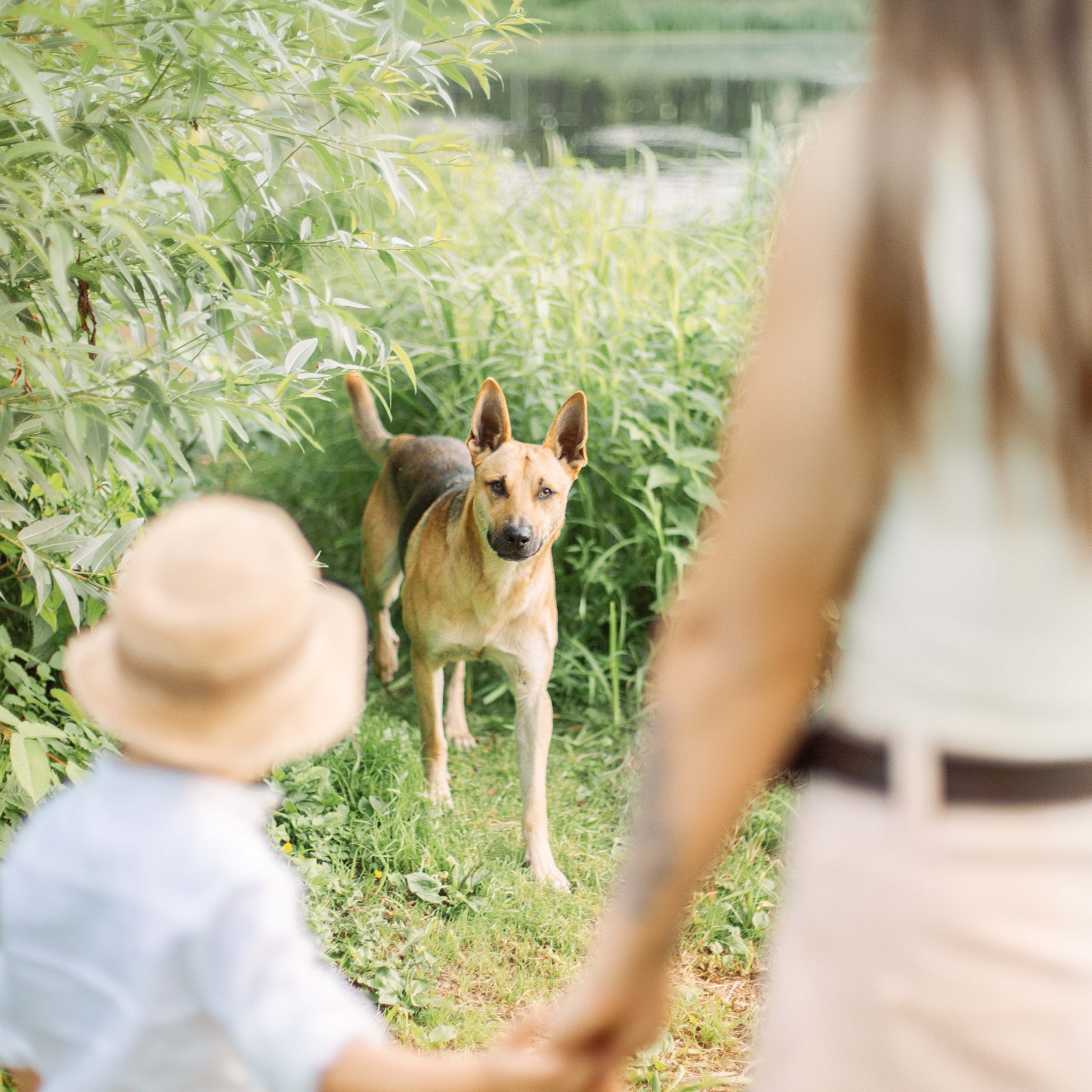 Семейный и детский фотограф в Туле