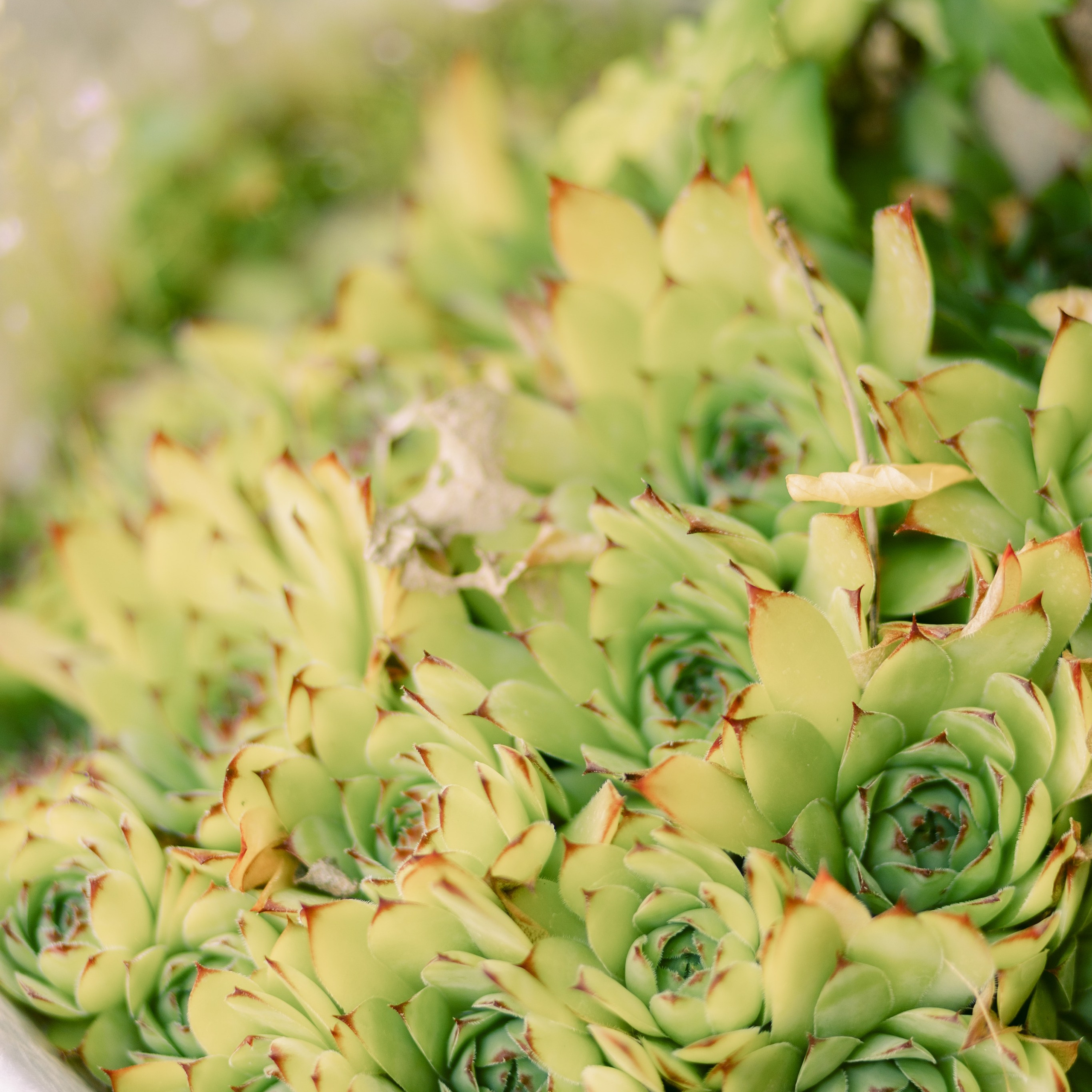 Отзывы. Семейный и детский фотограф в Туле