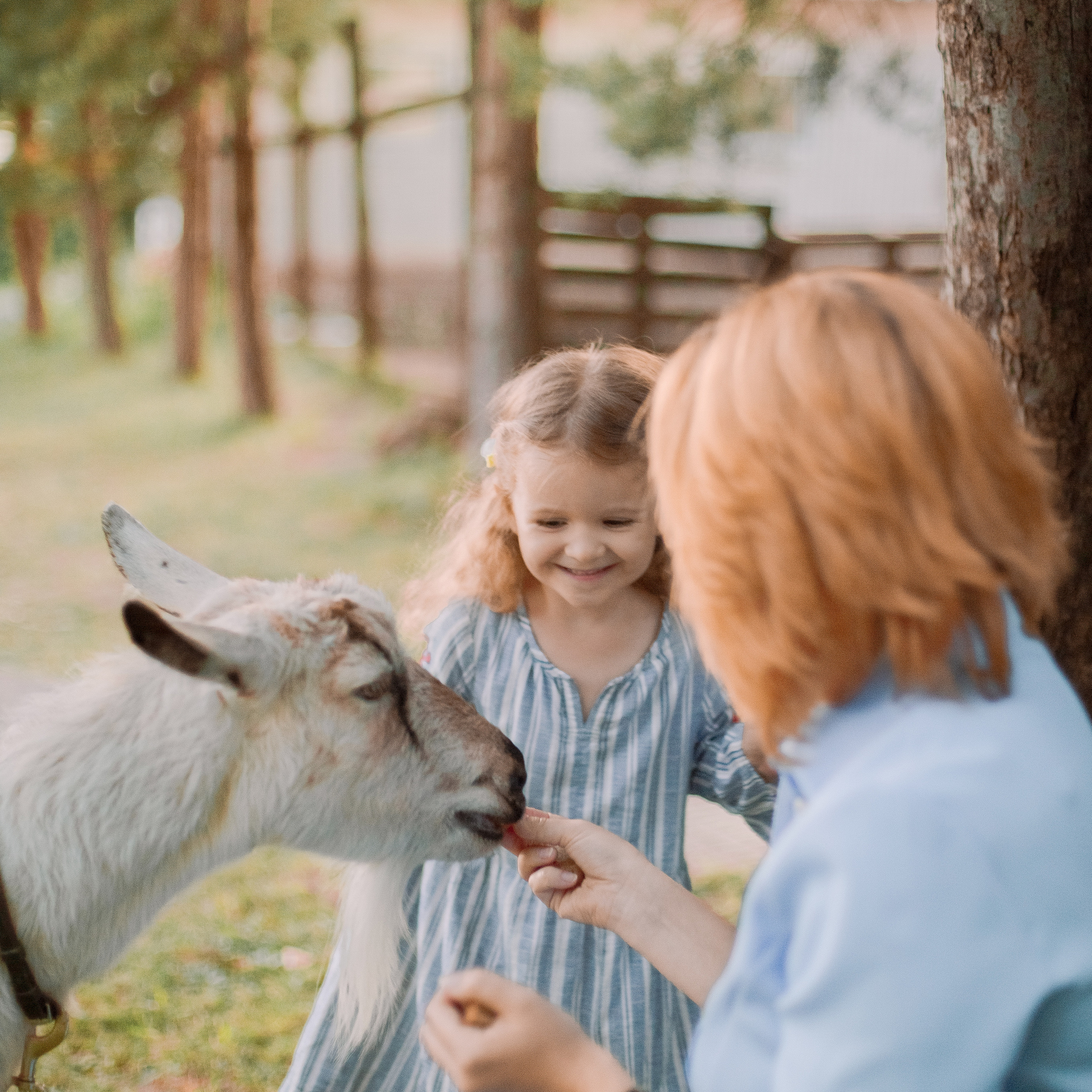 Про Наташу и Алису