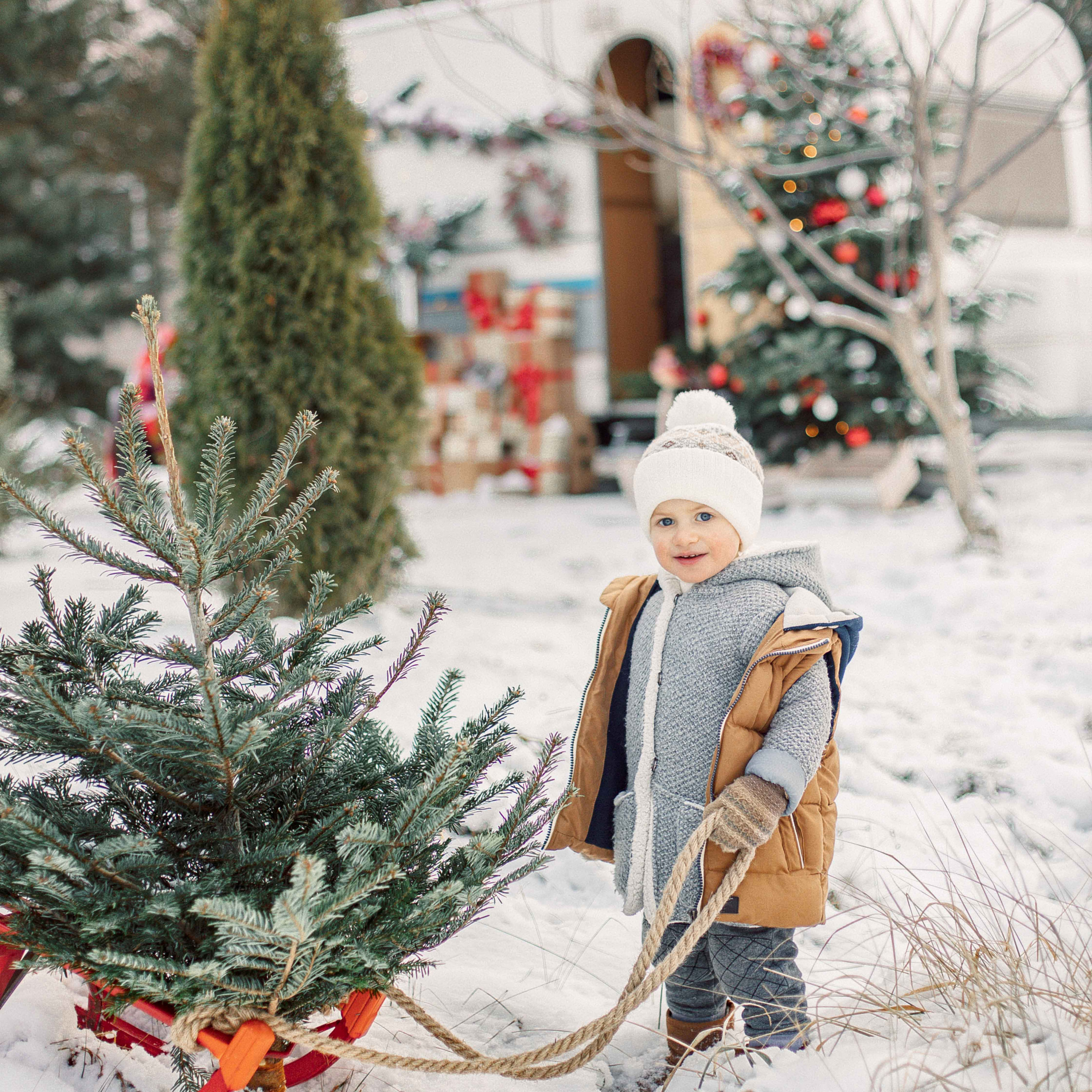 Семейный и детский фотограф в Туле