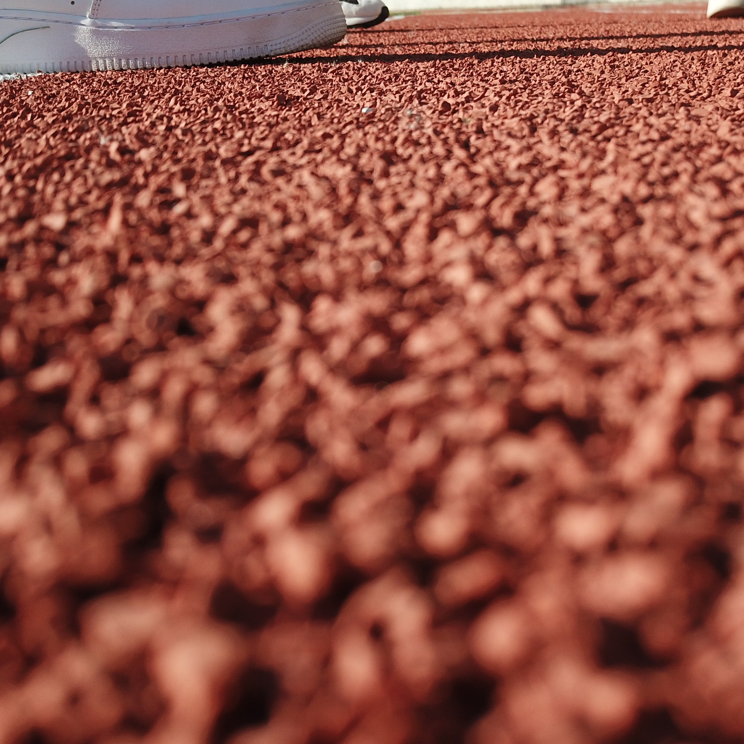 СТАДИОН ЗЕЛЕНОГРАД. Recro